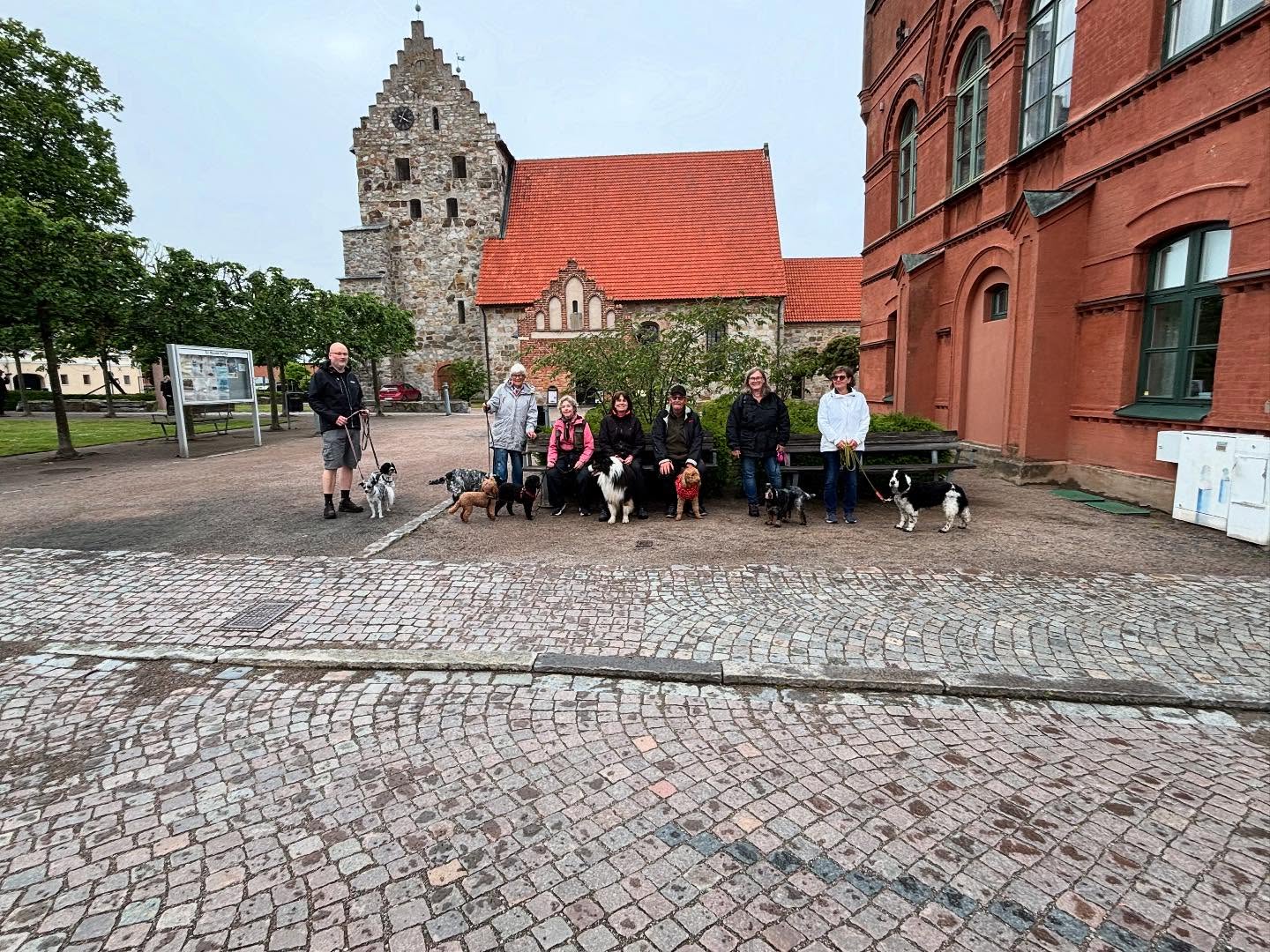 Vårens sista söndagspromenad.
Tänk att det äntligen kunde bli varmt, nu hoppas vi att det håller i sig så vi kan få njuta av en härlig sommar.
Idag träffas vi vid Hamnkiosken kl.15
Nästa söndag blir det ingen promenad, men vi startar upp våra sommarpromenader i Åbackarna onsdagen den 25/6 kl.19
Då träffas vid gymmet vid Tobisviksbadet/Tennisbanorna & går en runda i skogen eller längs stranden.
Vi anpassar som vanligt rundan efter vilka ekipage som dyker upp.
Kan du inte gå i trappor så säg bara till så tar vi rundan utan. Alla skall ha möjlighet att vara med.
Är du medlem i SimBK får du följa med gratis på sommarpromenaden.
Övriga betalar 25kr/gång eller 10-kort för 200kr
Swish eller jämna kontanter.
Idag säger jag det i dubbel bemärkelse.
Varmt välkomna 🐾🐾☀️