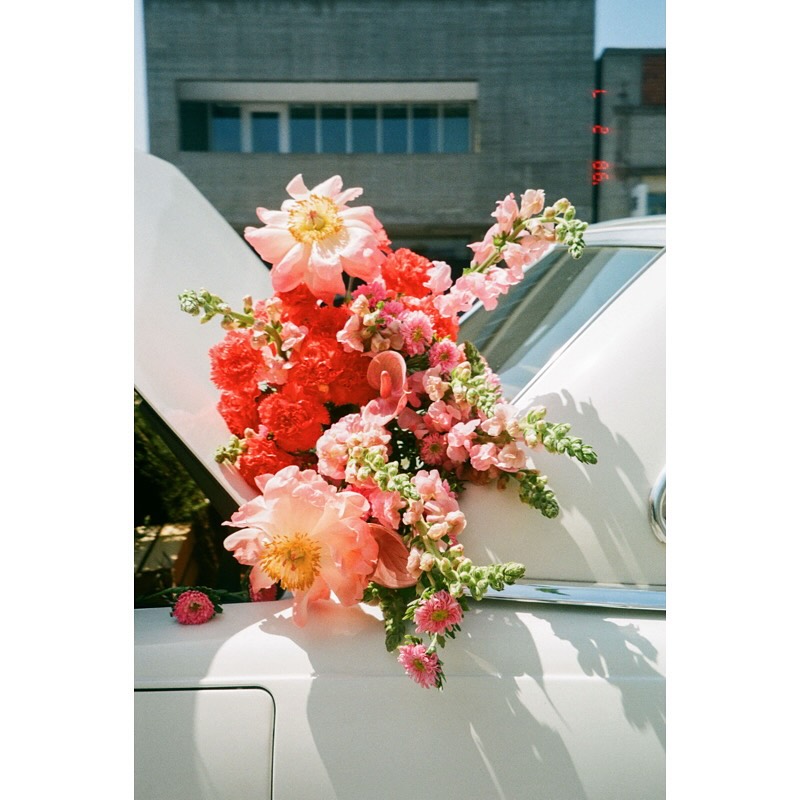 ✨ Ready for a 5-Day Reset? ✨
Sometimes we just need a little nudge to feel more like us again. Here’s a simple, powerful reset rooted in positive psychology – no big overhaul, just small steps with big impact. 🌱
Day 1 – Gratitude 🌞
Start your day by writing down 3 things you’re grateful for. It shifts your mindset and primes your brain for positivity.
Day 2 – Move Your Body 🚶♀️
Walk, stretch, dance – just 20 minutes of movement to boost your mood and energy. You don’t have to run a marathon to feel good.
Day 3 – Kindness 💌
Do one kind thing for someone today – send a message, hold a door, give a compliment. Kindness lifts you as much as them.
Day 4 – Connection ☕
Call a friend, have a real conversation, or smile at a stranger. We’re wired for connection – it’s a powerful happiness hack.
Day 5 – Strength Spotting 💪
Reflect on your week and spot what you did well. What strengths did you use? Acknowledge your wins – big or small.
🌀 A reset doesn’t have to mean starting over – it can mean pausing, tuning in, and stepping forward with intention.
🧠 Coaching can help you sustain these shifts and unlock even more joy, energy and purpose.
✨ Want help designing your own reset? Let’s work together.
#5DayReset #PositivePsychology #WellbeingCoach #ResetAndRecharge #CoachingTools #MentalFitness #SmallStepsBigChange #GratitudePractice #KindnessMatters #MoveYourBody #ConnectionCounts #StrengthsBased #CoachingJourney #MindsetMatters #ThriveNotSurvive