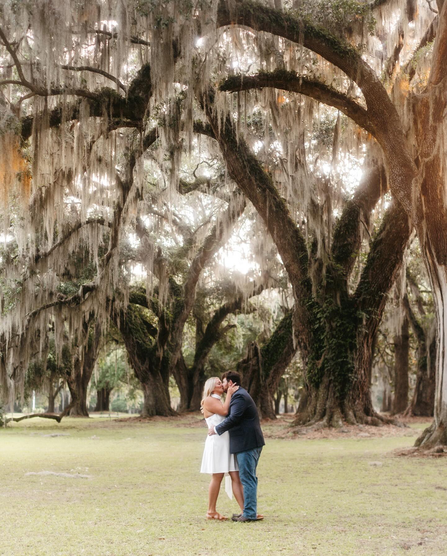 G r a c i e + L u c a s
Spent the morning dancing in the glow of the rising sun across the unmatched beauty of old oaks scattered along @cottonhallevents property. What a fun time getting to know soon-to-be Mr. & Mrs. Boddiford!! They are a perfect match, full of silly that keeps life light and depth that is a warm hug after a long day. Cheers to a lifetime of love for these two!! Now just counting down the months to be back for wedding day!! Sneak peek! #ashlyncatheyphotography