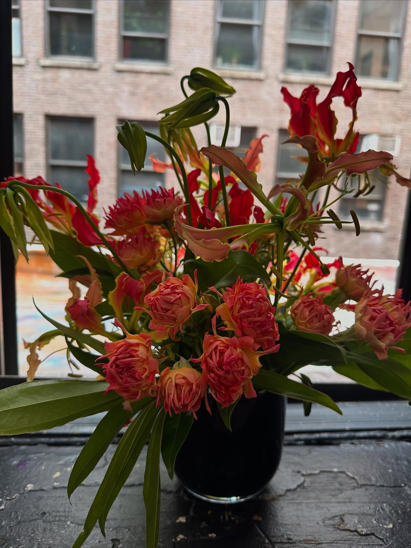 The brief was âunusual and interesting flowersâ.
No problem. A splurge, even.
.
#bizarreroses #gloriosalilies #flowerpower #floralfix #flowerstagram #floraldesign
#nycflowers #frenchflorist #artisanfleuriste #luxuryflowers #retailflowers #elegantflowers #nycflowerbouquets #classyflowers #giftflowers #lusciousflowers #subscriptionflowers #beautifulflowers #internatrionalflorist #nycflowers #nyfg