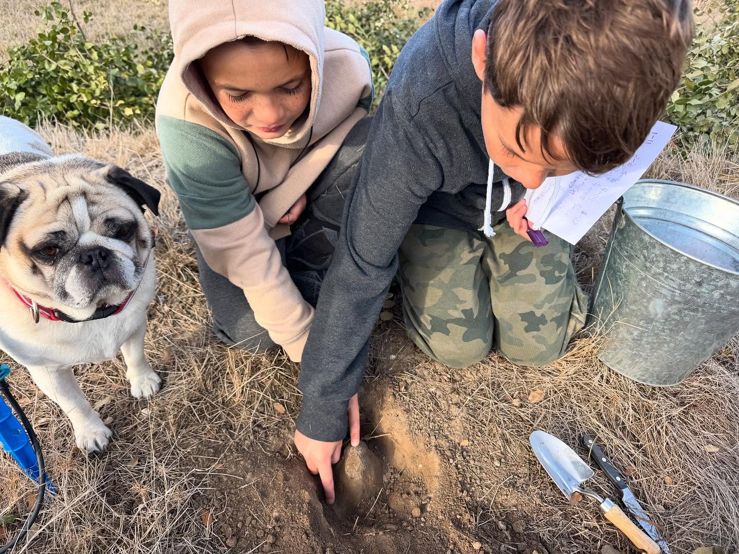 After a long overnight flight from a well deserved family holiday... these 2 wonderful sons (and fur son) of @double_oaks_estate helped us dig out these beautiful fresh truffles today, ready for the market tomorrow... Get in fast. Fresh local truffles!!! #truffle #frenchoak #truffiere #truffles #truffledog
#ourvineyard #boutiquewinery #winerylovers #wine #weekendsinmelbourne #australianwines
#macedonranges #winetasting #cellardoor #vintners #daylesfordmacedonlife #daylesfordmacedonranges #cellardoorvictoria #melbournecellardoor #victorianwine #victorianwinery #winerymacedonranges #woodend #kyneton #localproducers #cellardoorvictoria #explorevictoria #wineryvictoria #countryvictotia
#visitvictoria