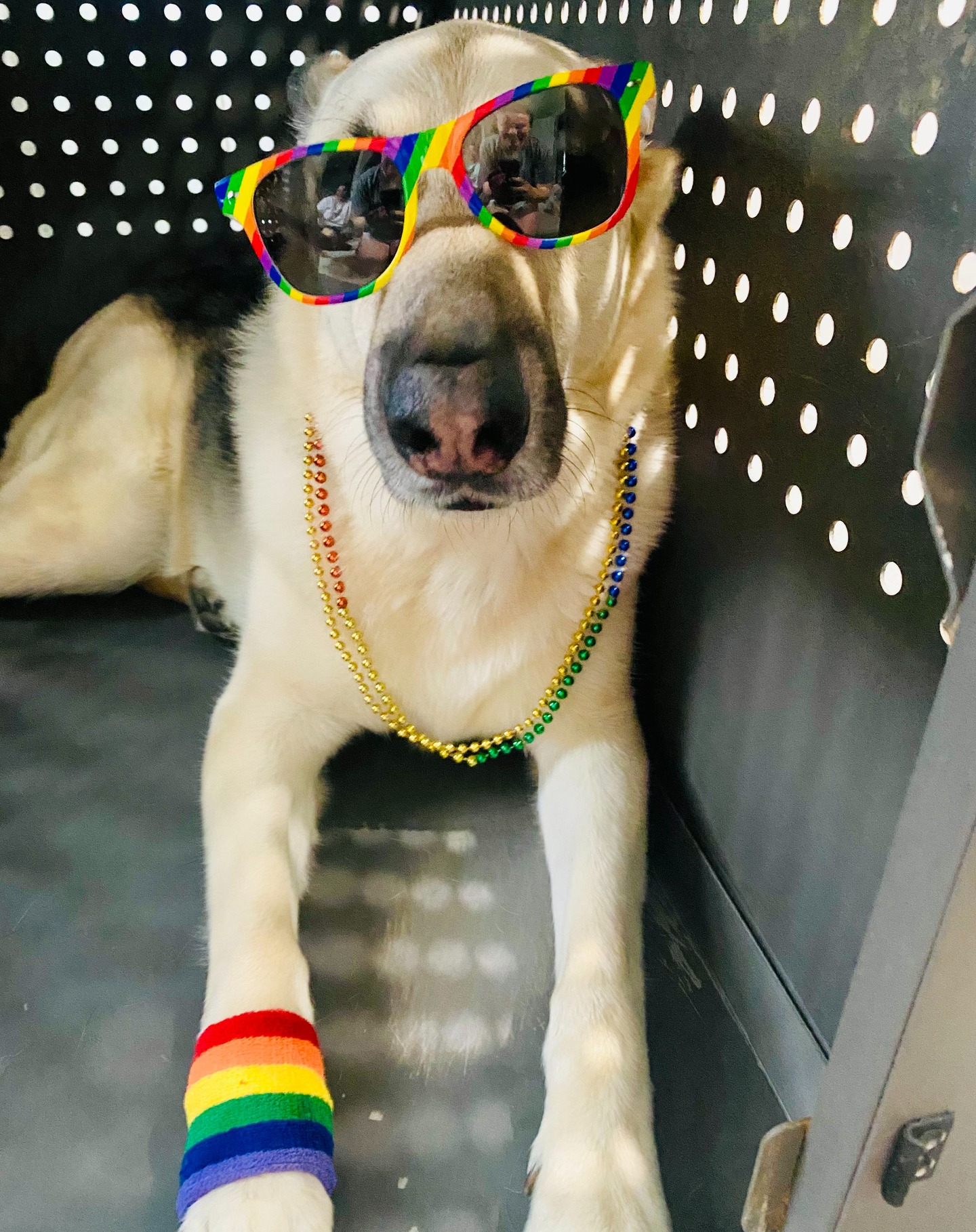 Bruin would like to wish everyone a happy pride month!
As a queer-owned business, it has always been important to us to provide a safe space for people from the LGBTQIA+ community. And no, it's not just because rainbows are pretty.
Did you know that 1 in 5 members of the LGBTQIA+ community will experience discrimination in a healthcare setting during their lifetime? This can include verbal and physical violence, and denial of essential medical treatments and medications.
At Stay Mobile Physical Therapy, we vow to always respect and value each of our clients equally, and we appreciate everyone's unique authenticity. You deserve to be happy, you deserve to be loved and you deserve a life you're excited about.
#pridemonth #lgbtq🌈 #londonderrynh #physicaltherapy #safespace