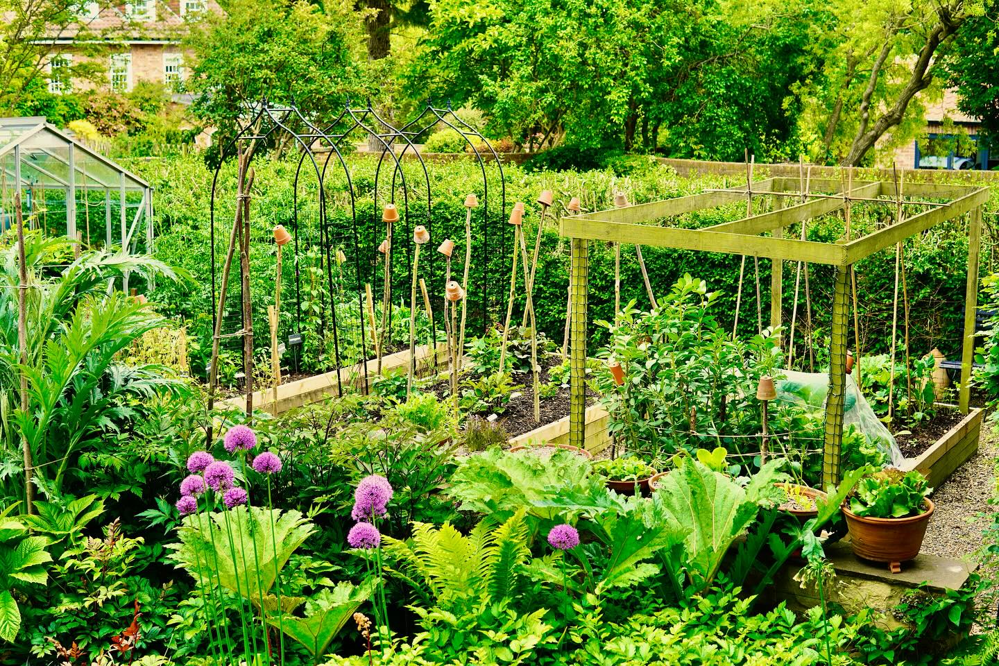 We welcomed a lovely group of 30 visitors today who travelled by coach from the Cambo Estate near Fife, Scotland camboestate.com as part of their tour of mainly private gardens. We raised funds for #dementiaforward whose team provided delicious canapés. The cut flower beds and intersectional peony Bartzella were particular hits but it was the guests‘ lovely compliments that make it all worthwhile #peony #intersectionalpeony #gardenpond #gardenersofinstagram🌱