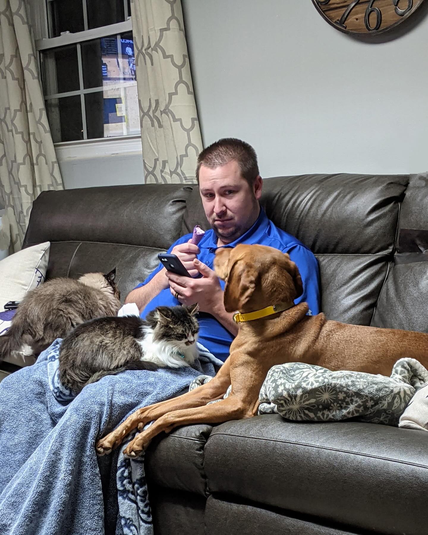 In honor of Father’s Day yesterday, we are celebrating all the pet dads who go above and beyond for their furry best friends. Thanks for all the walks, cuddles, and unconditional love!❤️