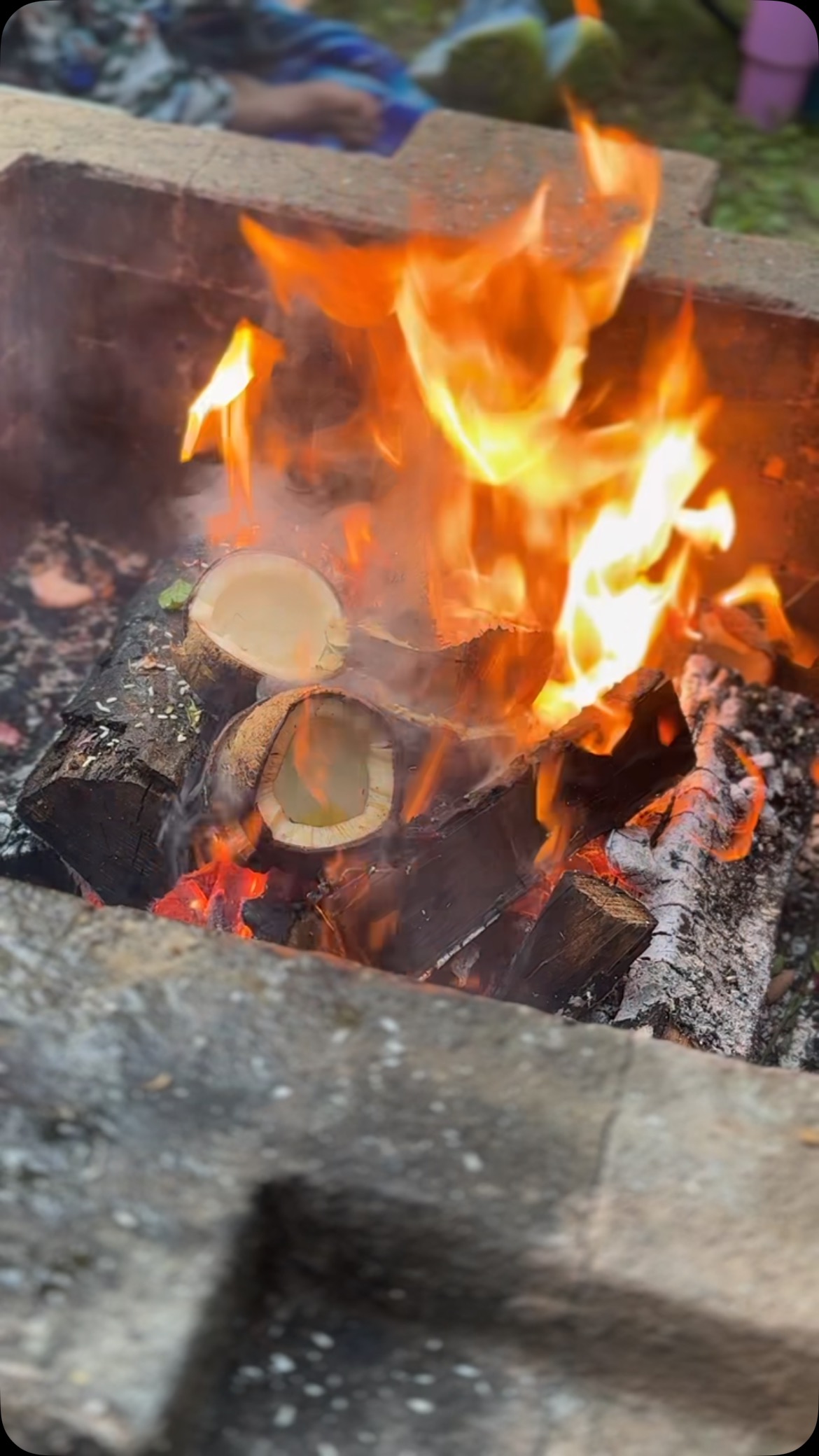 GAZE INTO THE FULL MOON FIRE 🔥 🌕 🍓AND CONNECT - the sacred fire ritual is an ancient healing technology. Decharge negativity and simultaneously experience the inner silence which awakens new potential and creativity 🔥🥥
SACRED FIRES at Madhukara are 2x a month on New and Full Moons.
JOIN US! Info in bio ♥️
#sacredfire #homa #fire #fireceremony #fullmoon #strawberrymoon