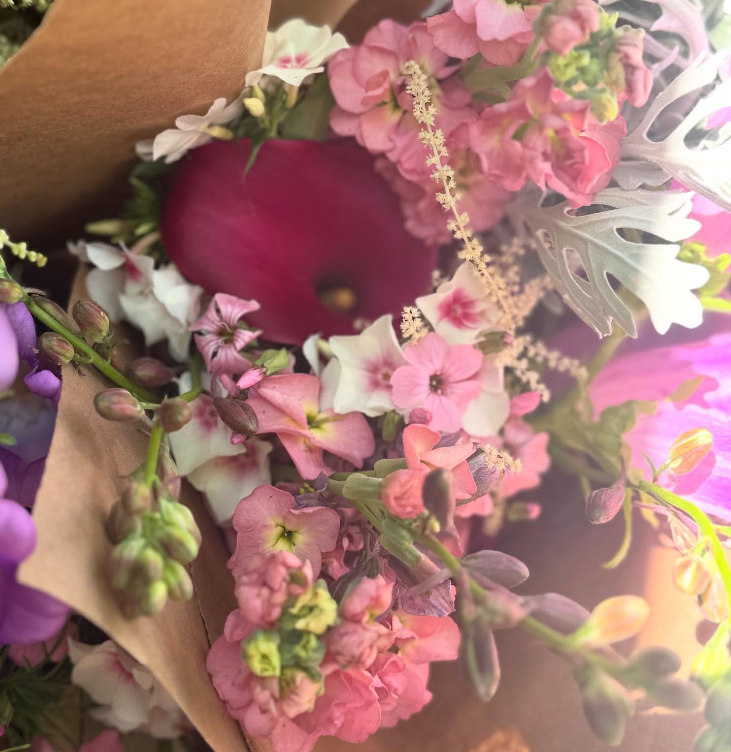 LOOK 👀 at that smooth, sassy hot pink #callalily in there!
Only one more week to sign up for our 8week summer CSA share! This is where my flower loving community gets to experience and enjoy the bounty from the farm!
Investing in a (community supported agriculture) bouquet share supports my small regenerative flower farm by providing up front funds for seeds and other costs on the front end. In return, CSA members get a bouquet every week for the duration of the share. You’ll get to experience in real time the seasonality of our regions flowers- and see all the crops I try out along the way.
It’s my second time growing calla lily’s successfully- these are the best I’ve ever frown from @zaboplant they are long lasting, elegant, and the colors are divine!
Be a part of your #localfloriculture by grabbing a summer share at out website #linkinbio. You’ll pick up each friday at the farm or at one of our local partner locations:
@themercva @lovettsvillemarket @cowbellkitchen @handmade_by_lmac @cornerstoreva
Thanks in advance!!!! 💗💐🧑🌾
#localflowers #flowerfarmer #loudouncounty #whosyourfarmer #farmfresh #sustainableflowers #slowflowers #csa