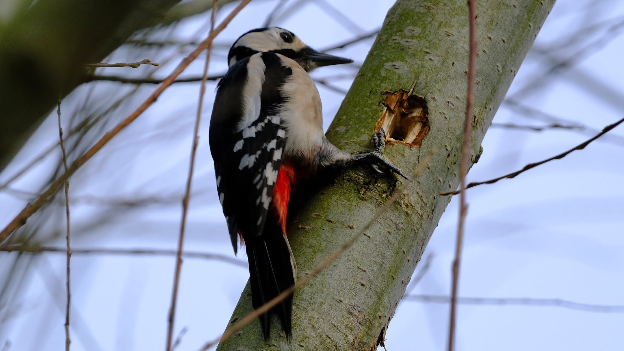 “And those who were seen dancing were thought to be insane by those who could not hear the music.” - Friedrich Nietzsche.