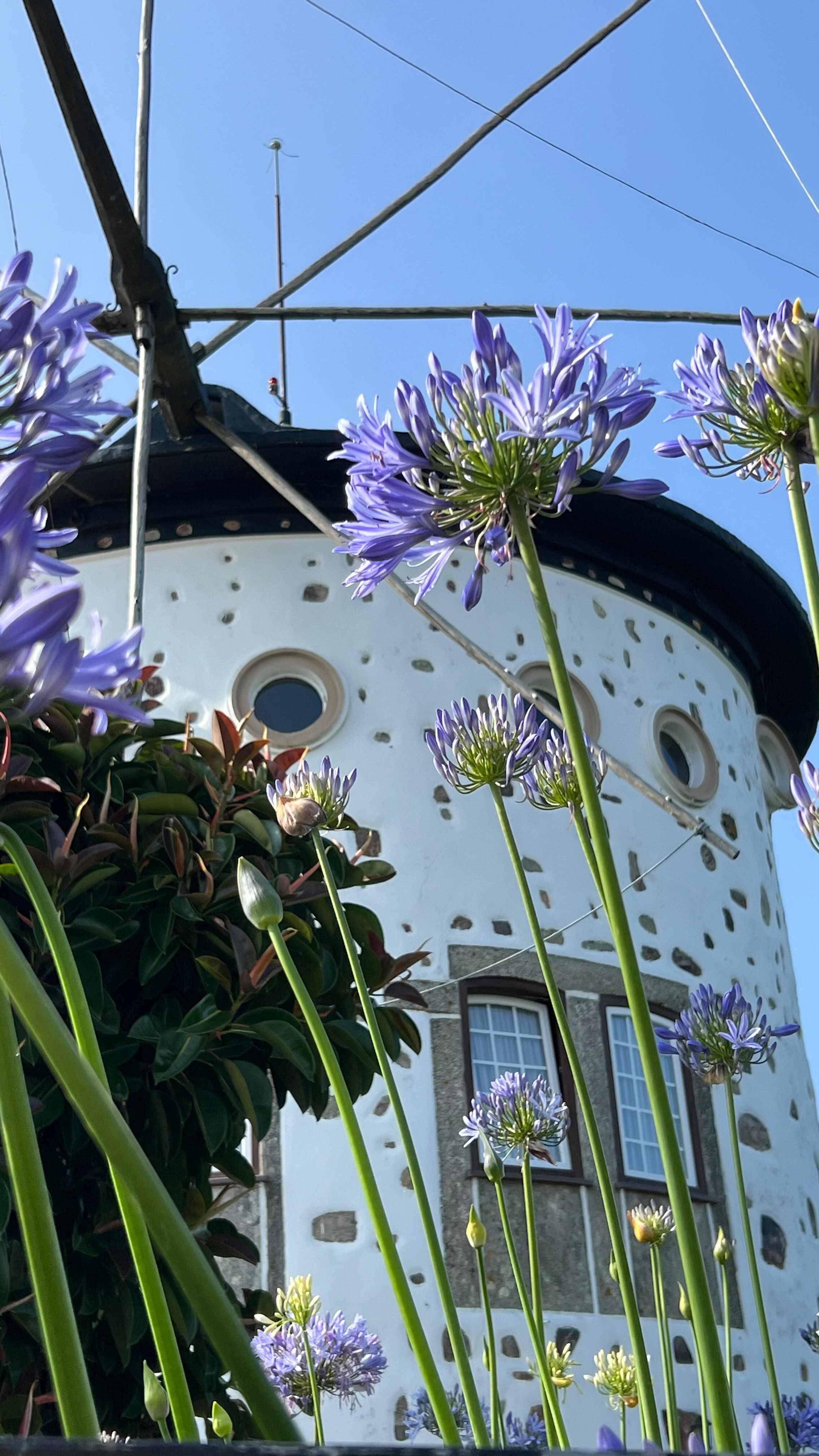 ❗️Novidade para aproveitar já esta semana❗️
Estadia mínima de apenas 1 noite nos feriados
Sabemos que nem sempre dá para escapar por 3 noites, mas isso não quer dizer que não mereças uma pausa!
Seja para carregar energias, aproveitar um cantinho especial ou fazer uma staycation a dois, agora já podes reservar só por uma noite… nos dias de feriado! 💛
Marca já a tua escapadinha!
Podes encontrar o link na bio