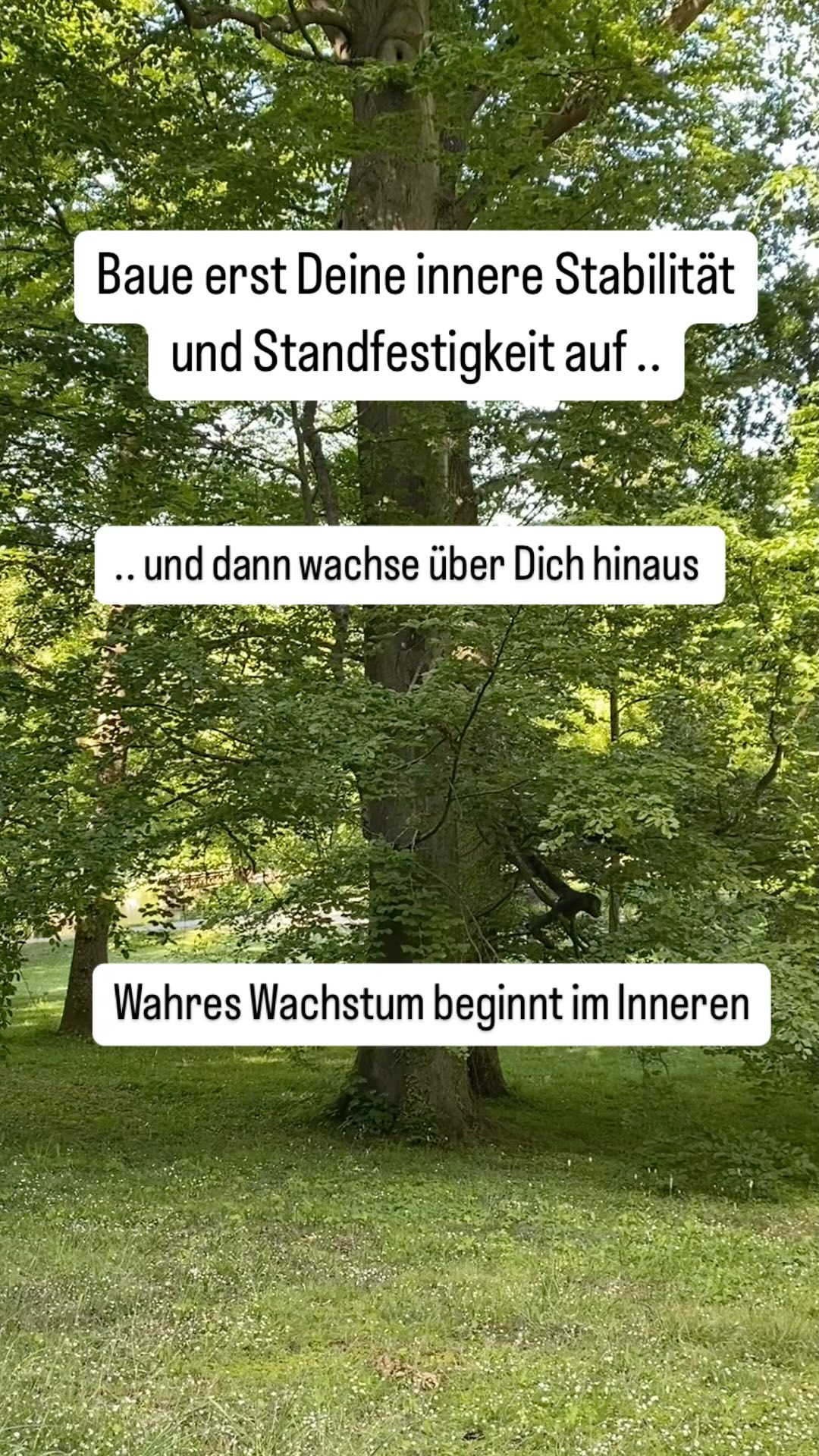 WACHSTUM. Persönlich zu wachsen gelingt nicht von heute auf morgen. Wahres Wachstum beginnt im Inneren. Bevor Du andere trägst, darfst Du selbst verwurzelt sein. Bevor Du neue Höhen erreichst, braucht es innere Klarheit, emotionale Stärke und Stabilität und auch eine energetische Ausrichtung.
STANDFESTIGKEIT bedeutet DICH selbst HALTEN zu können, auch wenn es im Außen unruhig ist und wankt.
In einer Welt, die von Geschwindigkeit, Erwartungen, Vergleich und Leistung geprägt ist, vergessen wir oft, dass Klarheit, Heilung und Erfolg aus der inneren Stabilität entsteht.
Auch ich habe in der Vergangenheit immer wieder mal an Stabilität verloren. Doch die Erkenntnis, genau da ehrlich hinzuschauen…hat mich persönlich wachsen lassen und mich dorthin gebracht wo ich jetzt bin.
Mehr Authentizität-mehr Stabilität
Heile.Stärke.Wachse.
Wenn Du Deine Wurzeln stärkst, wächst Du nicht nur über Dich hinaus - Du tust es aus der Mitte heraus.
AUTHENTISCH.KRAFTVOLL.FREI.
Wenn Du spürst, dass jetzt die Zeit ist von innen heraus zu wachsen, Blockaden und alte Muster aufzulösen, begleite ich Dich gern ( mit wundervollen Techniken aus meinem Meisterkurs )
Sandra ❤️
@klarheit_im_herzen
#vertrauen#wachstum#lichttechnik#kraft#stabilität#persönlichkeitsentwickling#energieheilung#freiseinfühlen#blockadenlösen#lichtfreilegen
