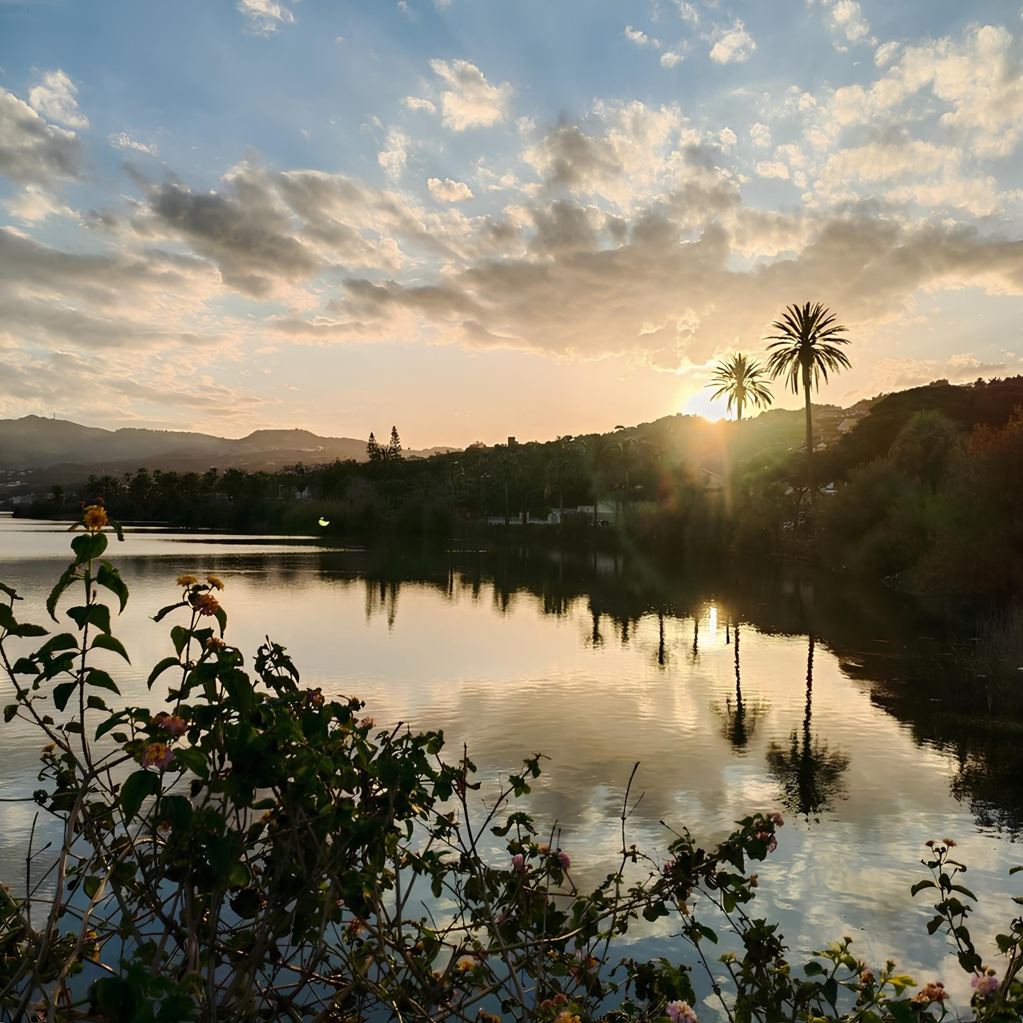Capo Peloro has many sides.
This is the one that reflects.
📍Ganzirri
.
.
.
📸 @VisitCapoPeloro | © Edited visual from original by @rocaf91 – Ask before reuse.
.
.
.
#CapoPeloro #VisitCapoPeloro #Ganzirri #GanzirriLake #Messina #VisitMessina #Sicily #VisitSicily #MediterraneanLife #Sunset#SicilianLandscape
.
.
Content protected under EU copyright law.