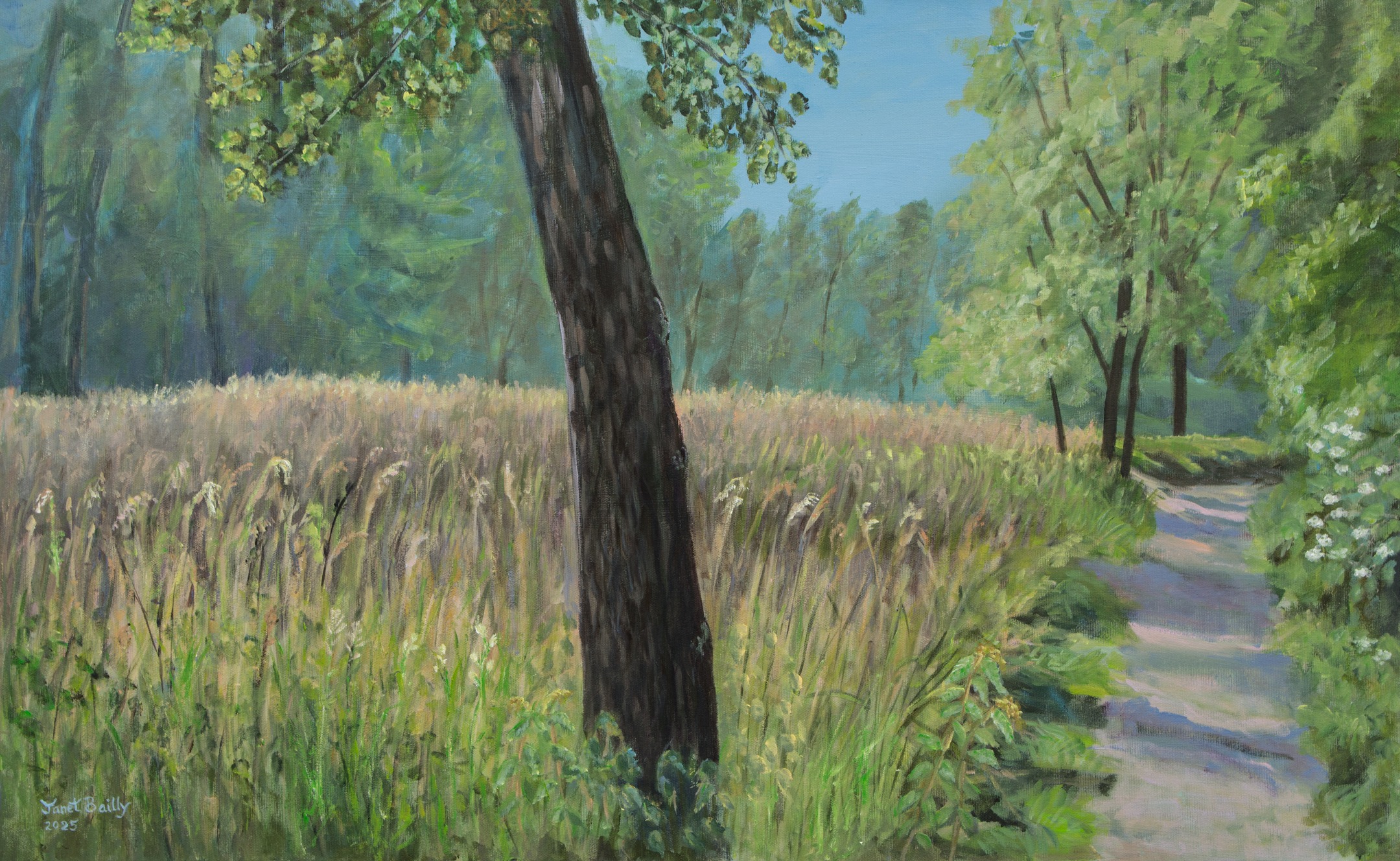My latest painting for our exhibition at the Museum of Murten !
Vernissage 18h on 28 June 2025
The painting is of the meadow at Grengspitz, Murten, evening of 18 May 2025, acrylics on canvas, 65 x 105 cm
Janet Bailly, 2025
www.janetbailly.ch