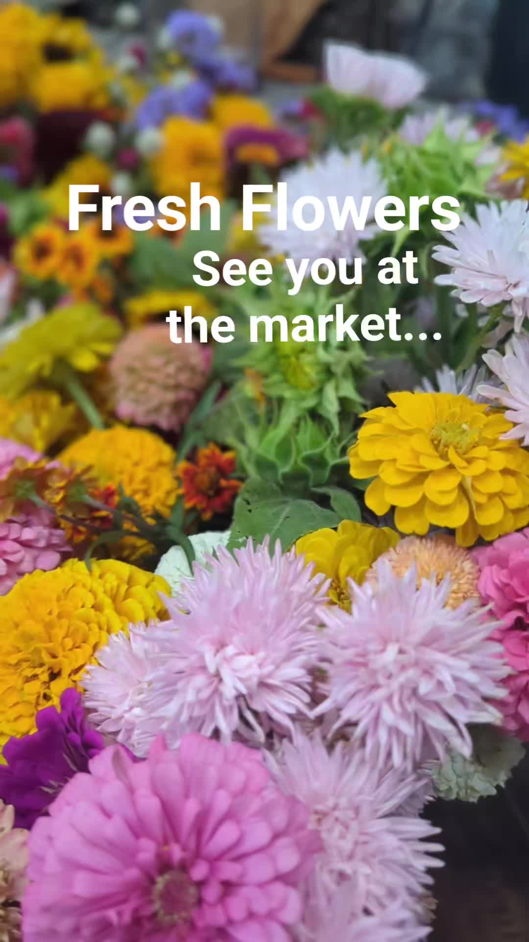 Headed to the market๐ฉ๐ปโ๐พ๐ง๐ผโ๐พโฅ๏ธ these beauties are SPECTACULAR!
Where can you find our flowers outside of our gorgeous farm you ask? Always keep a look out ...what market are we at today....
#farmersmarkets #sweetfieldsfarm #freshflowers #thingstodo #gardenweek #gardenmarket
6/8/2025 we are @delukasrestaurant