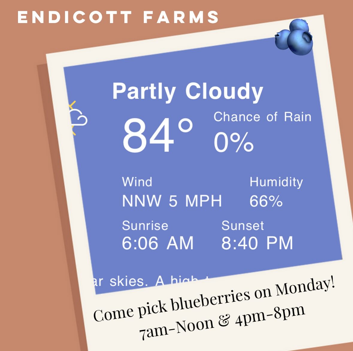 Tomorrow looks like a beautiful day to pick blueberries! 🙌 Come see us morning or evening!