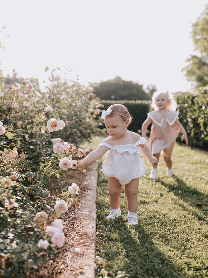 Roses, baby rolls and perfect sunsets! That is what late spring is made of. I have two spots at this location available on Monday June 16th in the evening. Comment below if you are interested.
