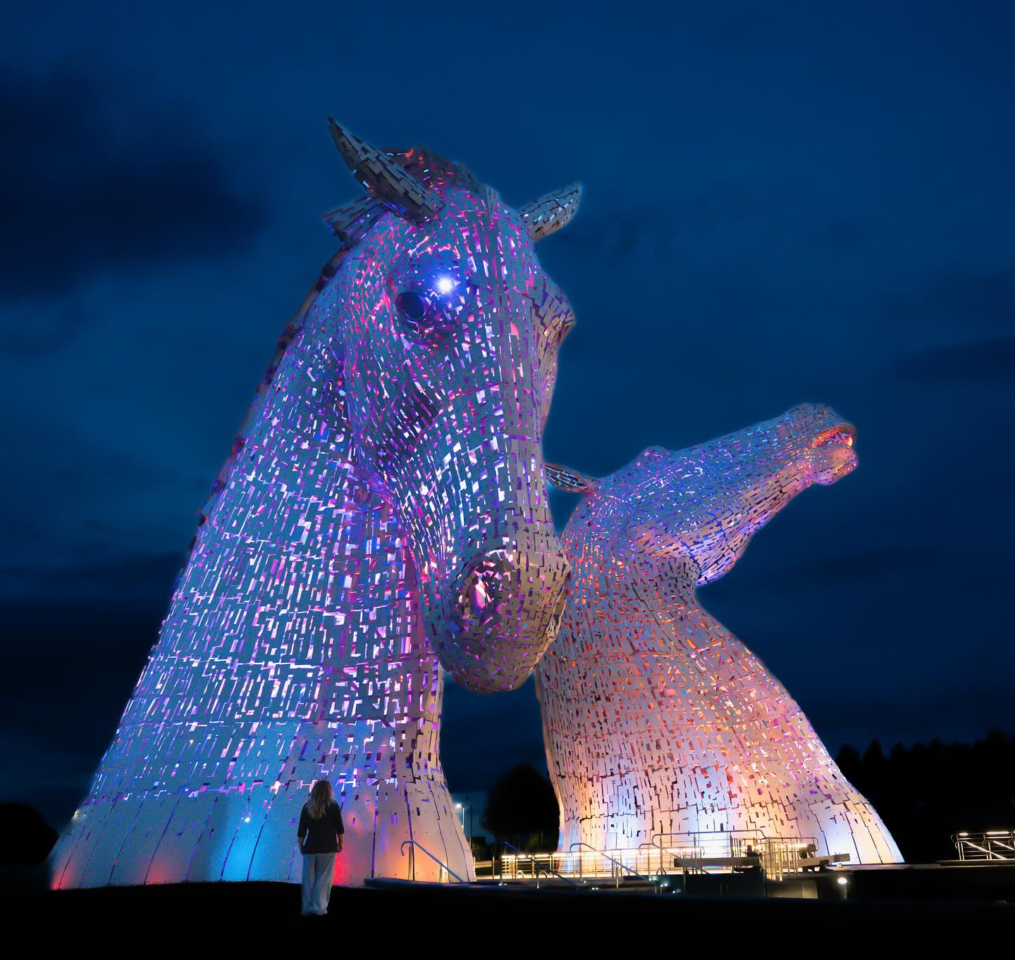 Whilst in Scotland ..
#luss #kelpies #fallkirk #greyfriarsbobby #lonelytree #explorer #scotland #lochlomond #photographerslife