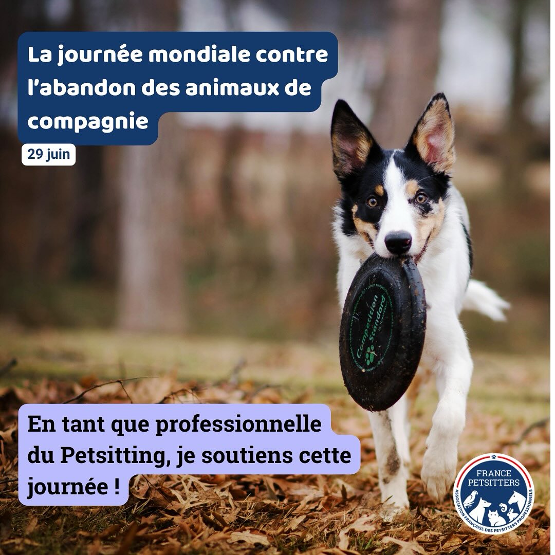 🐾 Journée mondiale contre l’abandon animal 🐾
Chaque été, plus de 100 000 animaux sont abandonnés en France. Derrière ce chiffre, il y a des vies brisées, des regards perdus, des cœurs fidèles laissés sur le bord de la route.
En tant que pet sitter, je sais à quel point un animal a besoin de stabilité, d’amour et de présence. Il existe des solutions pour éviter l’abandon : garde à domicile, visites, familles d’accueil… Ne les laissez pas seuls.
🐶🐱 Cet été, pensez à leur bien-être. Faites garder vos animaux, ne les abandonnez pas.
Ils vous donnent tout. Offrez-leur mieux. ❤️
Image créer par @association_france_petsitters
______________
Www.surixpets.com
#StopAbandon #PetSitterEngagé #ProtectionAnimale #JournéeContreLAbandon