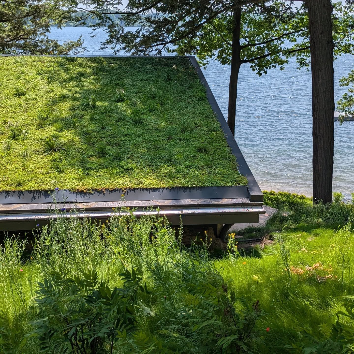 Living roofs? We do those!
Beautiful spot on the St. Lawrence trying to blend in with its surroundings.