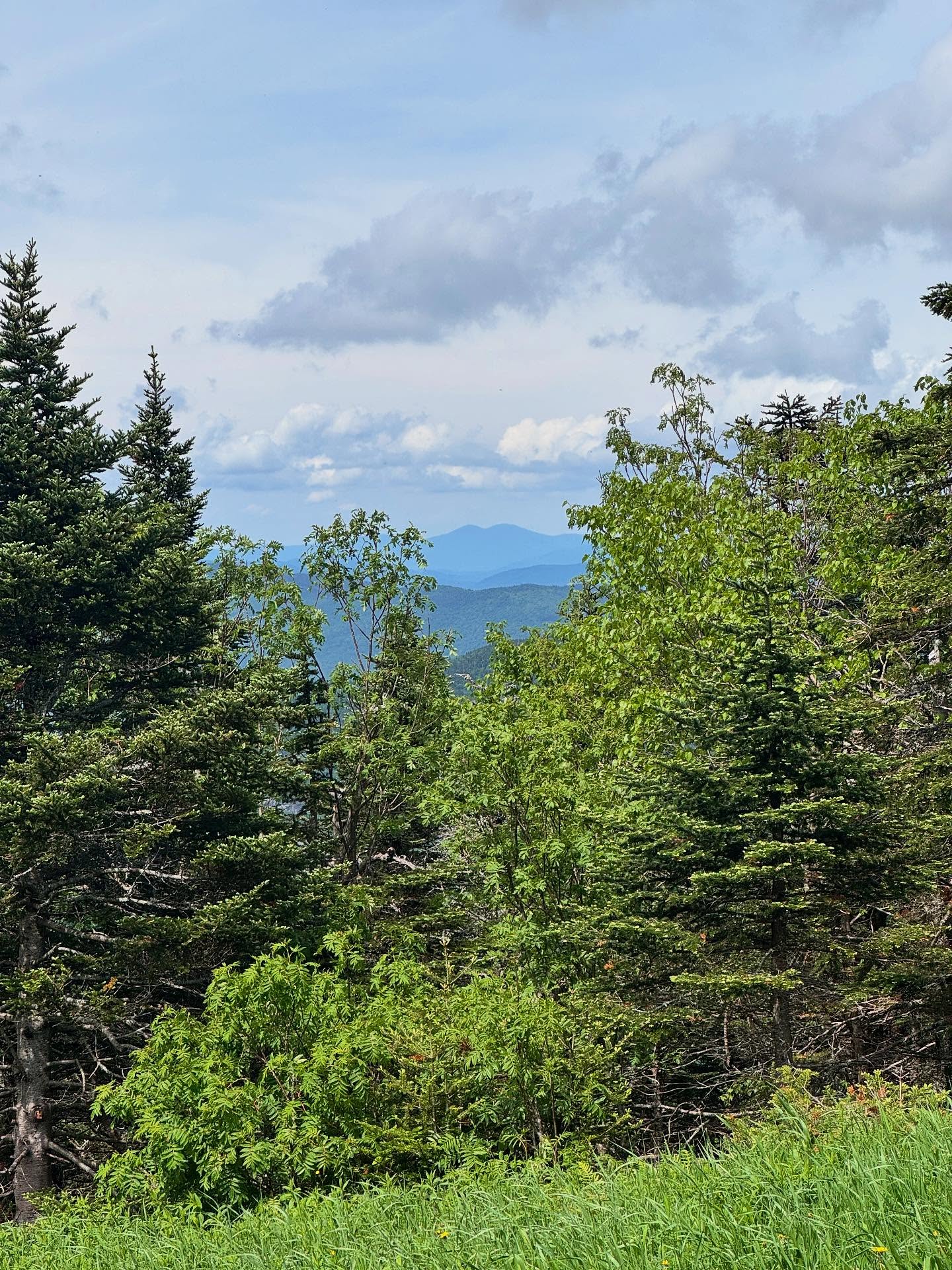 ChatGPT, write a caption about a desolate, deadly wilderness but make it aesthetic
•
•
•
#newengland #stowe #ruralamerica #americathebeautiful #junephotochallenge #summer25 #fyp