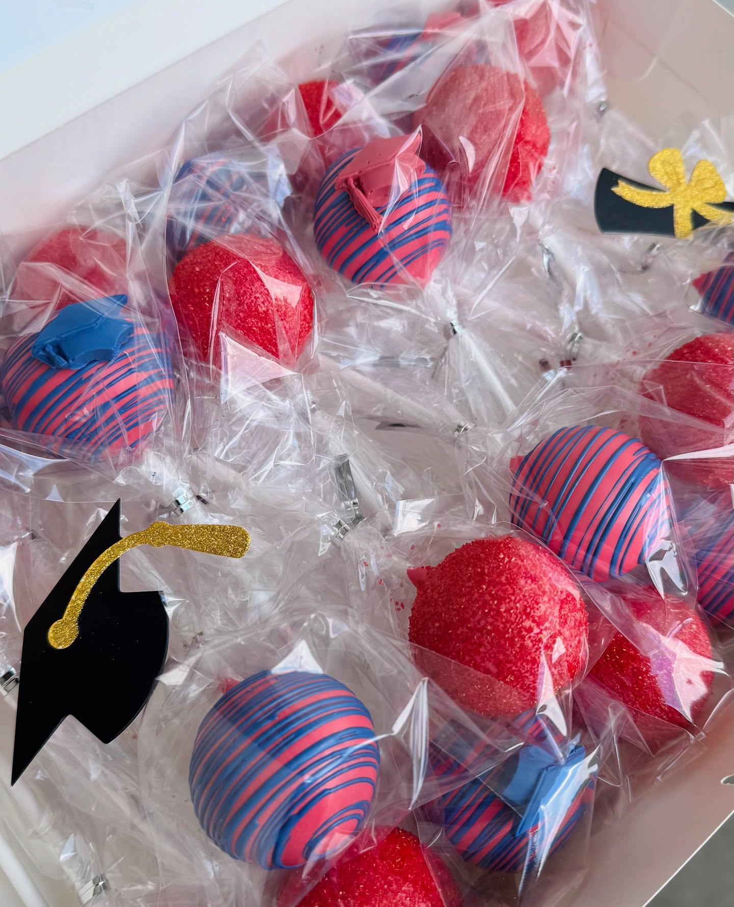 Grad Szn 🎓🤍🥳
•
Order for your next occasion at www.thesweetsideofgi.com 🩷
•
•
#graduation2025 #grad #cakepops #njbaker #smallbusiness
