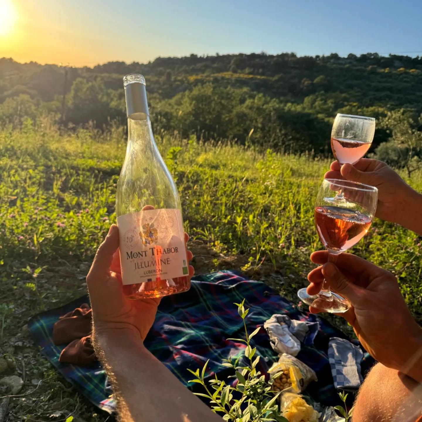 Un petit air d'été avec le Rosé illuMiné.
#vignoblesmontthabor #vinsluberon #summertime #syrah #grenache