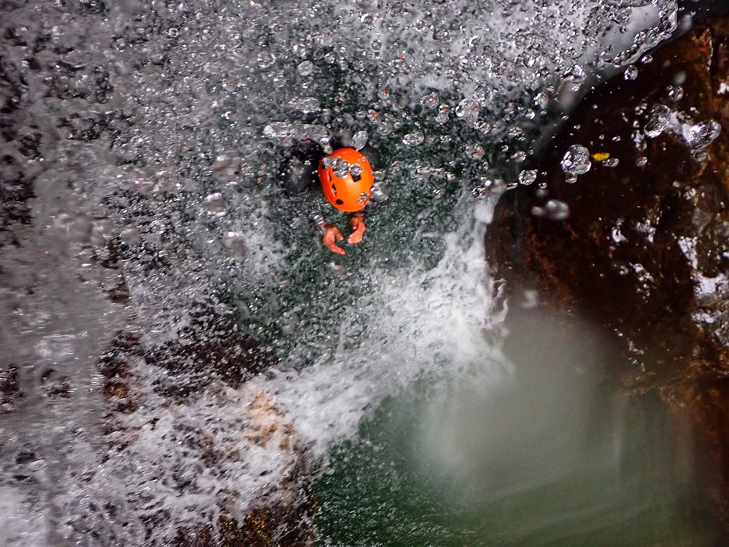 Cooling down in fresh karst spring water💦
.
.
#springwater #water #drinkingwater #healthylifestyle #hydration #purewater #bottledwater #stayhydrated #cleanwater #mineralwater #barrie #healthy #waterislife #hydrate #health #simcoecounty #innisfil #healthywater #drinkwater #premiumwater #purifiedwater #nature #collingwood #finewater #alkalinewater #acquaminerale #eauminerale #mineralwasser #orillia #aguamineral