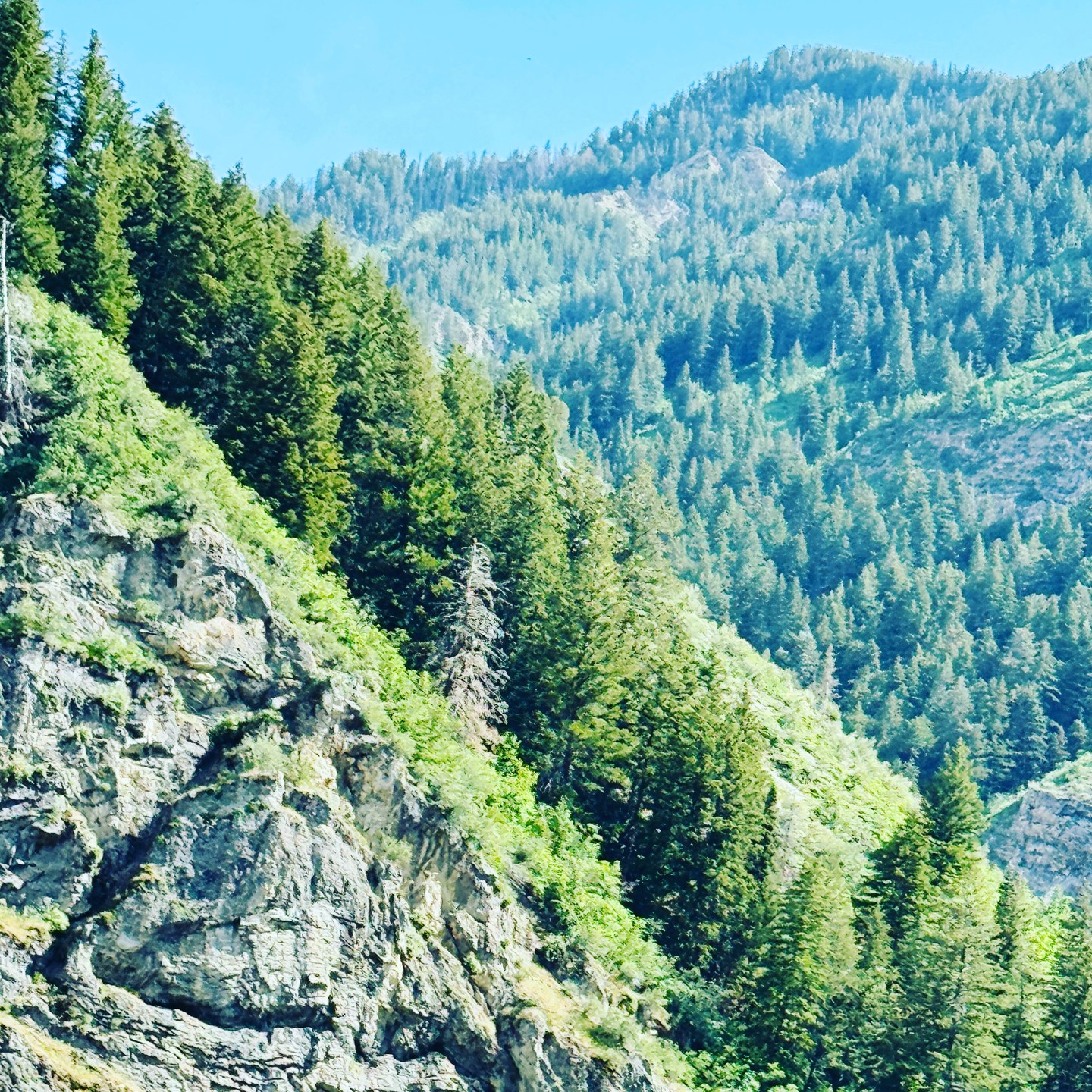 One of my views this past week...