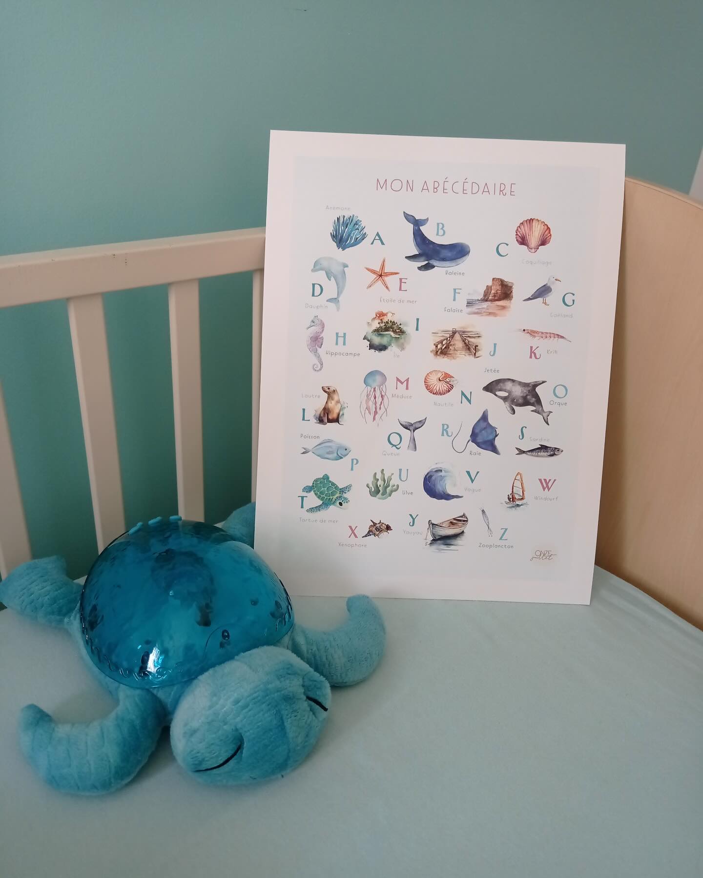 🌊🐢 Bienvenue dans notre petit coin de mer… même à la maison ! Et quand, il fait chaud, ça fait rêver 🤩
Entre la peluche tortue veilleuse de chez @cloudb et l’abécédaire marin, on apprend l’alphabet en voyageant dans les profondeurs de l’océan 🌟💙
De A comme Anémone à Z comme Zooplancton, chaque lettre devient une aventure poétique et sensorielle.
Une jolie façon d’allier rêverie et apprentissage pour les tout-petits ✨
#Abécédaire #ChambreBébé #DécorationEnfant #UniversMarin #ÉveilDesToutPetits #TortueVeilleuse #ApprentissageLudique #MontessoriInspiration #OcéanLovers