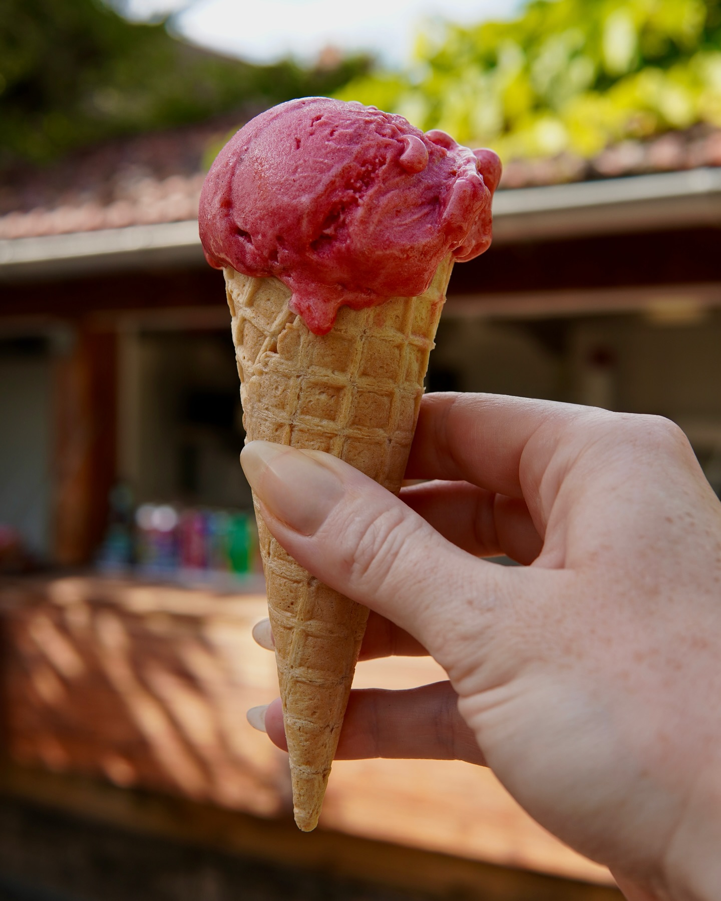Il faut chauuuuud en Normandie 🥵
Qui l’eût crut ? 🤭
On a ce qu’il vous faut pour vous rafraîchir au 80 rue Claude Monet 🍦🧊
#giverny #givernyfrance #givernymonet #givernyvillage #eure #normandie #normandietourisme #icecream #glaceartisanale #coffeeshop #restaurantnormand