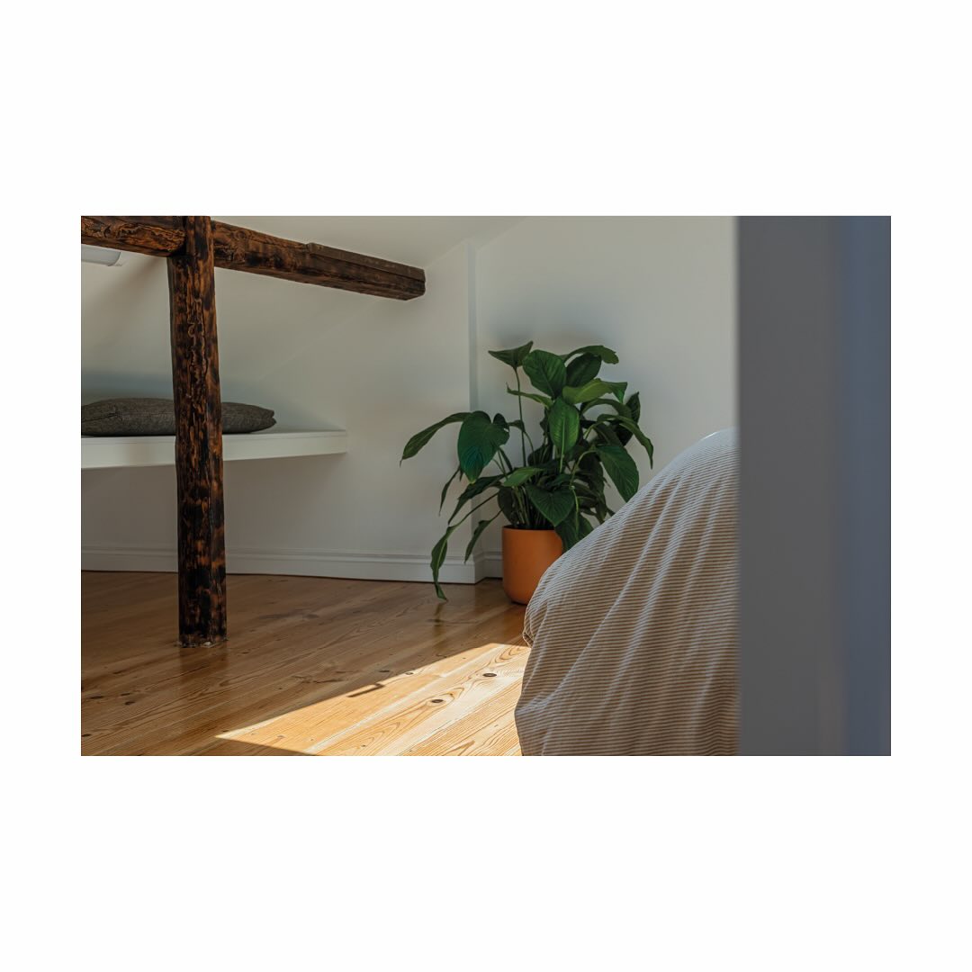 ~ DUPLEX NO ALVITO ~
Remodelação e Renovação
Alcântara, Lisboa
~ 2025 ~