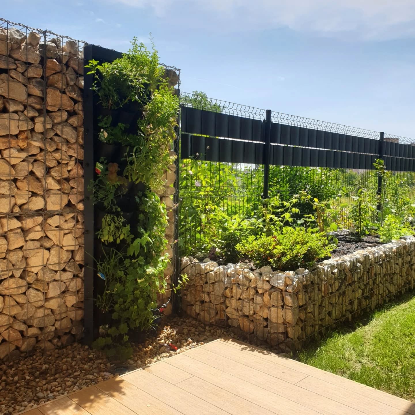 Okienko do našej záhradnej tvorby 💚
#ziveobrazy #zelenydizajn #verticalgarden #eo #zahrady #kosice