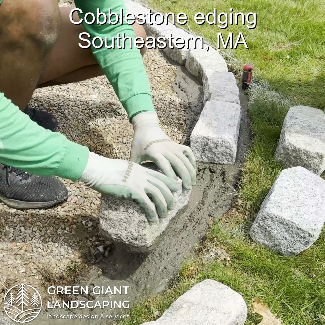 Cobblestone Edging: Transforming Outdoor Spaces with Beauty and Structure.
Landscaping Southeastern, MA.
Call now for your free quote!
Land clearing
Planting
Tree and shrub care
Seasonal cleanups
Old overgrown shrubs removal
Mulch installation
Garden maintenance
Weed barrier fabric
Bobcat services
Professional Landscape Design.
https://www.greengiantlandscaping.com/post/cobblestone-edging-transforming-outdoor-spaces-with-beauty-and-structure
Phone:
+1 413-406-9094
#landscaping #landscapedesign #gardening #gardendesign #landscaper #landscapearchitecture #treeandshrubtrimming #mulch #Massachusetts #southshore #newton #boston #hingham #marshfield #scituate #NewtonMA #scituatema #milton #canton #wellesleyma #SpringCleaning #shrubtrimming #shrubcare #plantingdesign #gardentransformation #springcleanup #mulching #cobblestone #cobblestoneedging