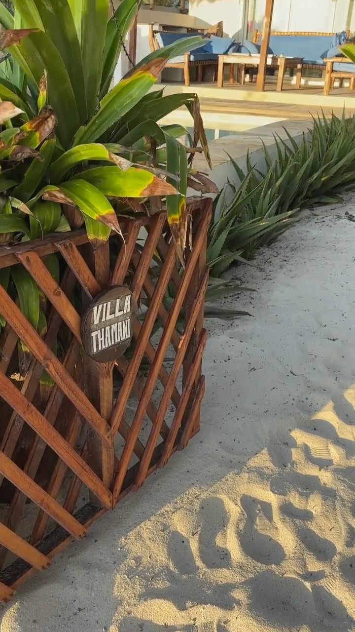 3… 2… 1… Welcome to Villa Thamani! ✨
Booking through our website is so easy, you’ll be packed and ready before you know it… and already feeling at home with us 🌴🏡
Great rates, instant booking, and all the seaside relaxation you’ve been dreaming of.
📲 Book now at www.villathamani.com and start the countdown to your getaway!