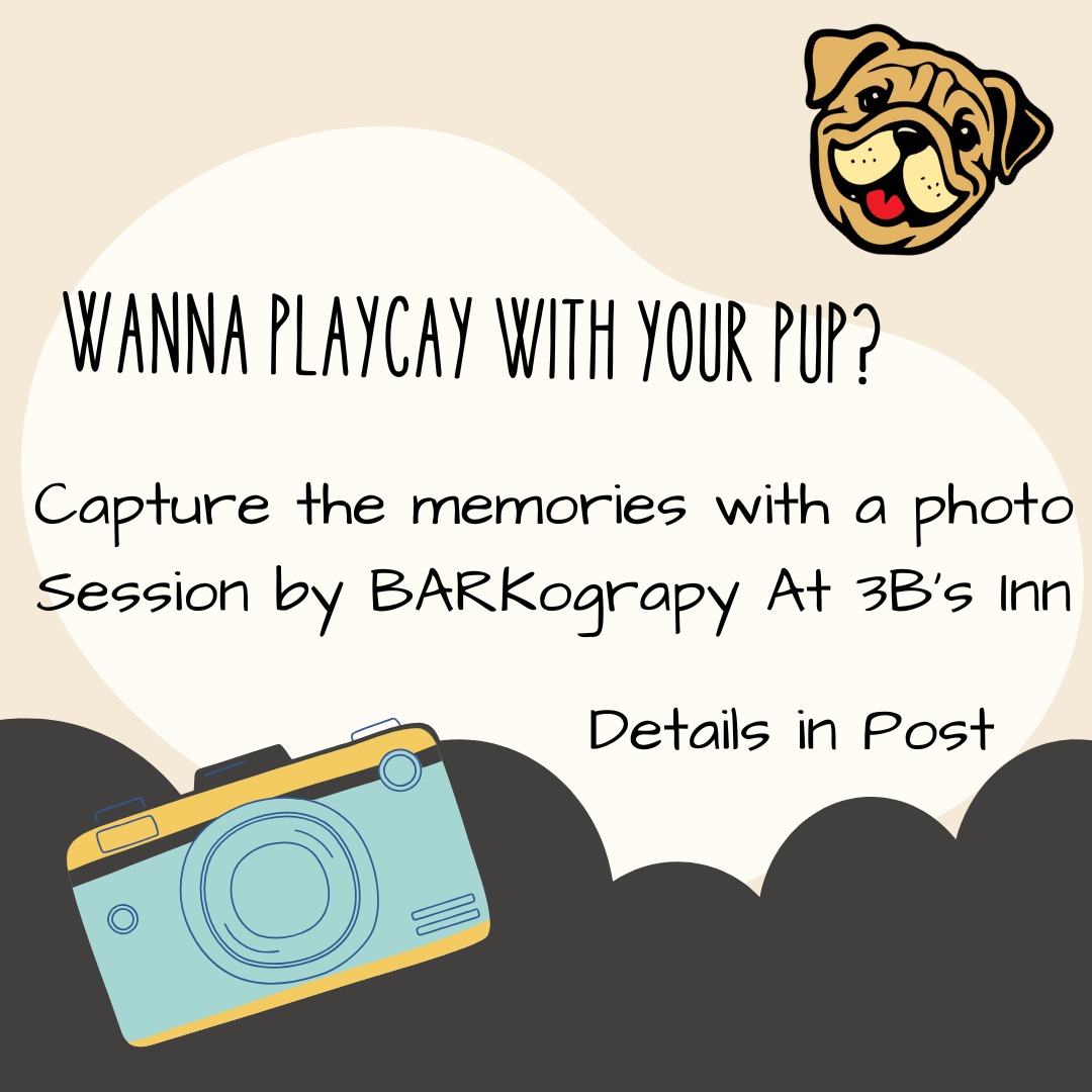 Is your pup interested in a getaway AND posing for a photoshoot? Locals, we also have some options for you!! Check out details below.
Book a 1-2 night stay on Friday, June 20th and/or Saturday June 21st. Included in your booking is a 20 minute photo session with @barkography and your 3 fav photos.
Can't spend the night but still want to book a shoot with @barkography? Sessions are $75 each and includes your three favorite images. Contact kim@barkography for this option.
Just want to enjoy some outdoor quality time with your pup?? Check out our daily Paw Passes (limited availability).
#dogfriendly #dogfriendlytravel #dogfriendlyhotel #roadtrip #dogsofasheville #daytrip #dogphotography #wnc #gertonnc #gerton #lovemydogs #travelwithdogs #dogmom #dogsofinstagram