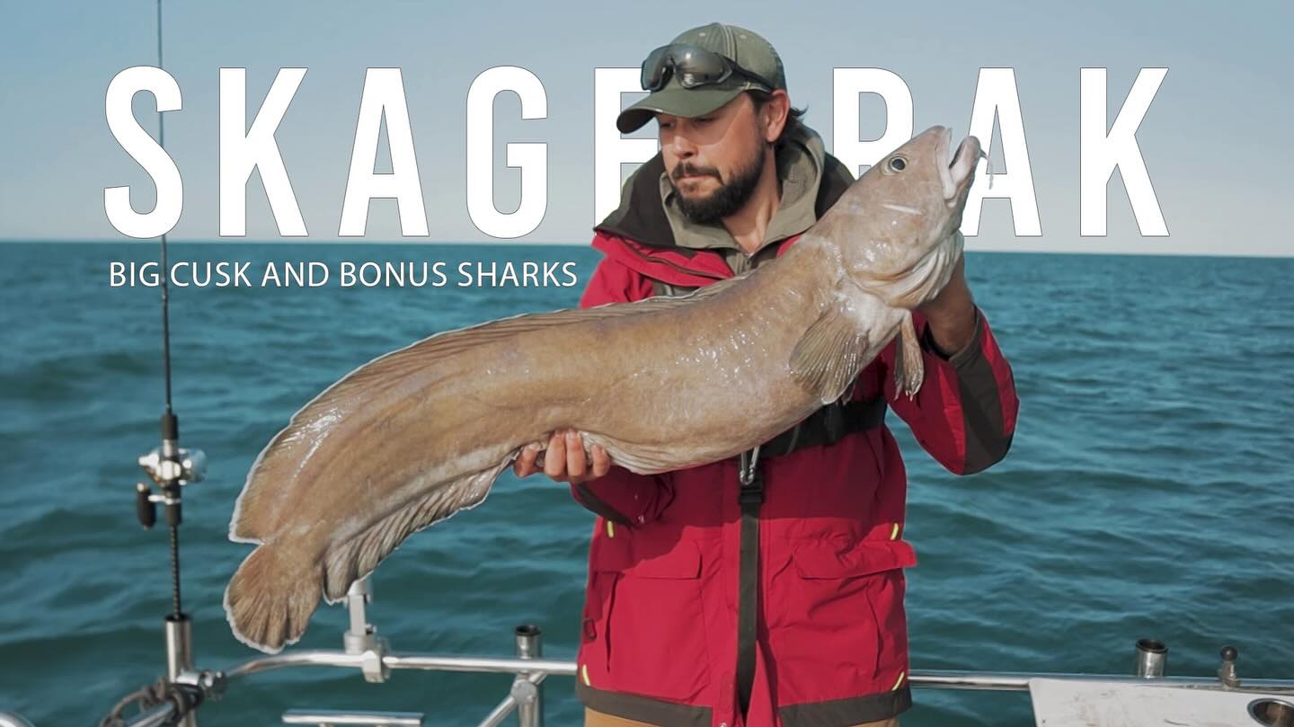 New video out now on YouTube! 😀🎣
.
.
.
#youtube #fishingvideos #deepseafishing #havfiske #havfiskern2025 #offshorefishing #seeberg #comstedt #humminbird #minnkota #teamkrokodille