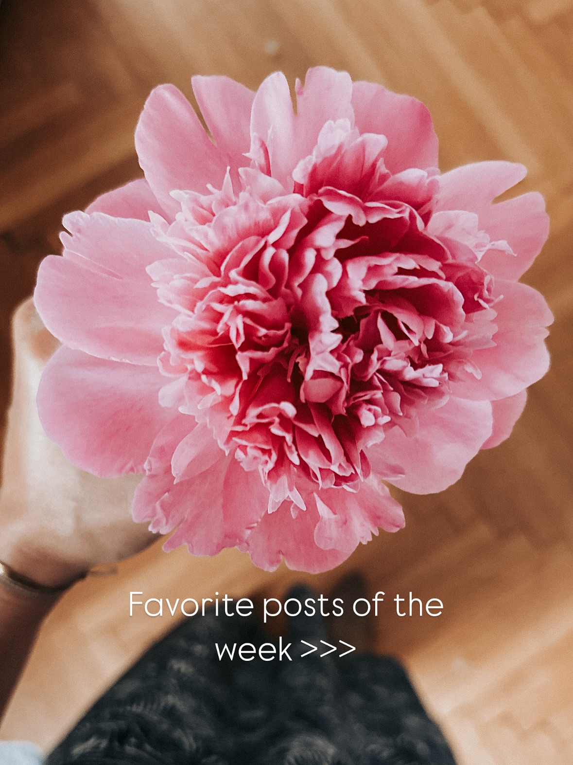 Meine Lieblingsposts der Woche ✨🤎
1) @selfcare.recipe
2) @yung_pueblo
3) @will__middleton
4) @albertovilloldo_thefourwinds
5) @your_world_within
6) @annehodgins
7) @frachella
8) @kommklardigga
9) @theselfhug
10) @soul.cast1
11) @thehomesteadfam
12) @stayclosetoyourself_
13) @allesorten