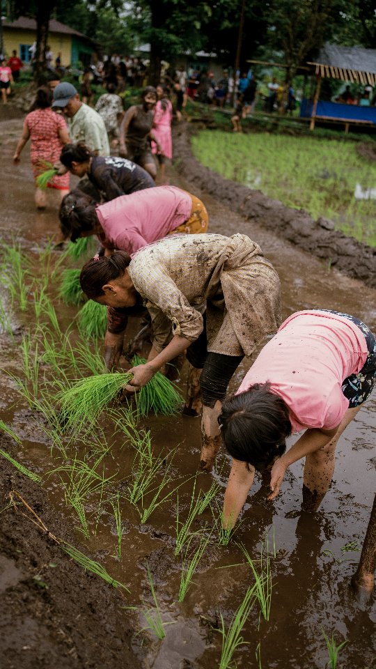 In the heart of the monsoon, we celebrate more than a festival — we celebrate life itself.
Asaar Pandhra is a tribute to the earth that feeds us, the rain that nourishes us, and the spirit of a community that dances with nature.
On this World Environment Day, may we learn from the land, honour our farmers, and nurture the world that sustains us.
Join us in honouring the rhythms of the land, the hands that sow, and the joy that grows from togetherness.
Happy World Environment Day 🌿🌿