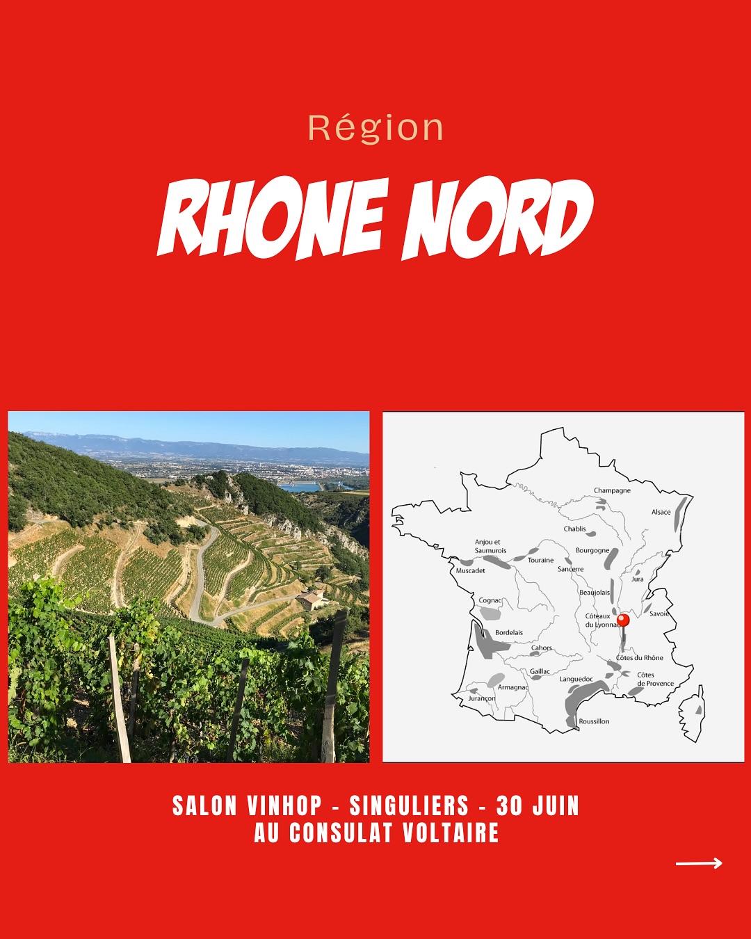À la rencontre des vignerons du Rhône septentrional.
@gangloffyves
@domaine_pj_villa
@hugo_et_pauline_villa
@cluselroch
@cecillon_wines
@domainevernay
@domainebonnefond
@matthieu_barret_cornas
@caveyvescuilleron
@domaine_combier
@domaine.francois.villard
@domaine.jasmin
@domainealainvoge
@chateauledevay
#AymericPaillard
@julien_pilon
Venez les découvrir lors de notre salon SINGULIERS, où plus de 80 vignerons seront présents.
📍Le Consulat Paris 11ème
📆 30 juin 2025
‼️Réservé aux professionnels - lien d’inscription en bio