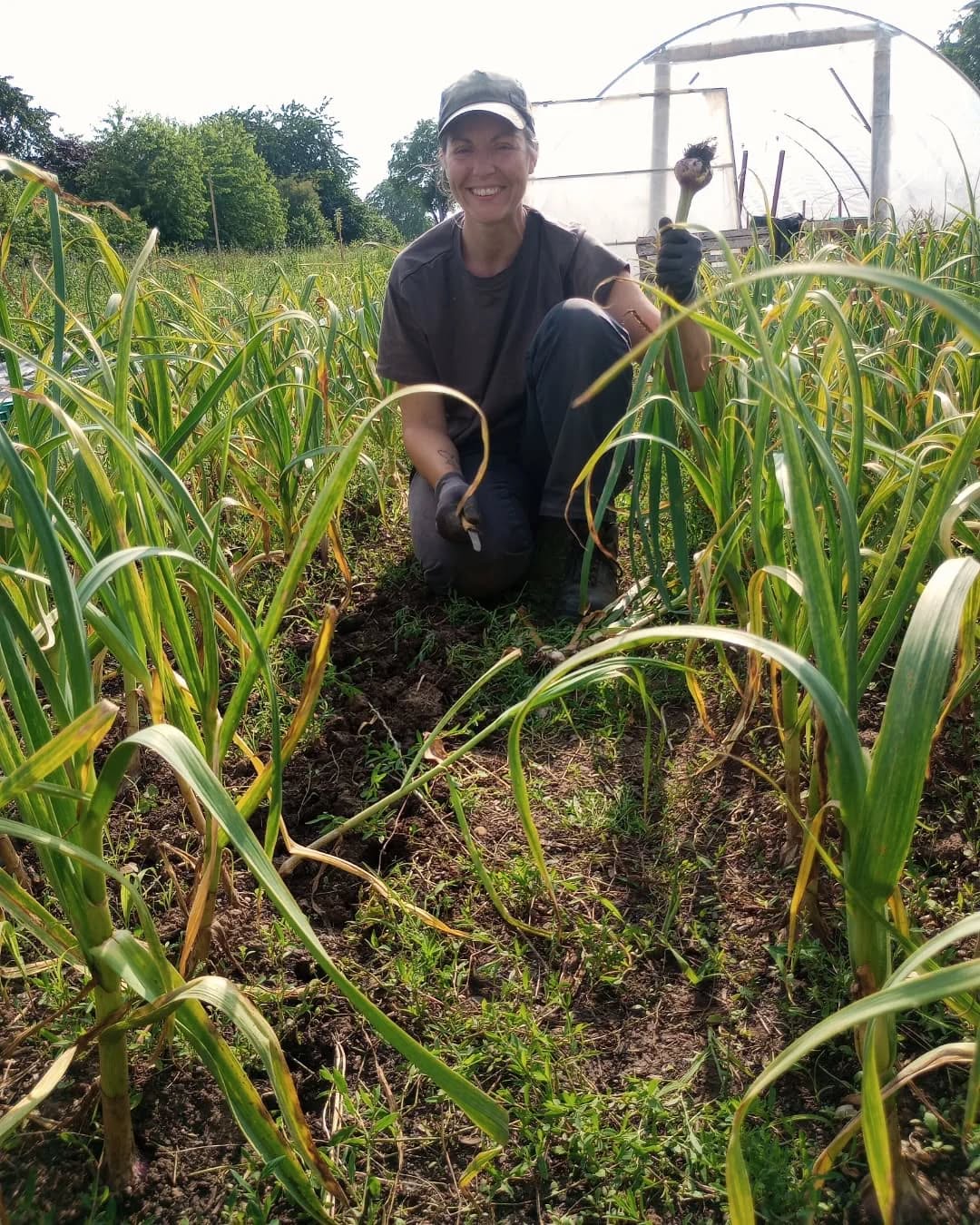 Gartengeschichten.
Sogar mit unerwarteten Erdbeeren 🍓