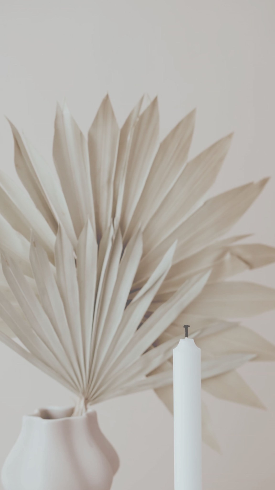 14 juin • journée mondiale du bien-être
bloquez dès aujourd'hui cette date sur votre agenda !
c'est votre JOURNÉE !
retrouvez tous vos rendez-vous bien-être sur 👉 evoleoz.fr
à Boulogne-Billancourt, Colombes ou La Gacilly.
#journeemondialedubienêtre #PrintempsBienÊtre #RetourÀSoi #oseretresoi #LaGacilly #Colombes #boulognebillancourt
#espacebienetre #printemps2025