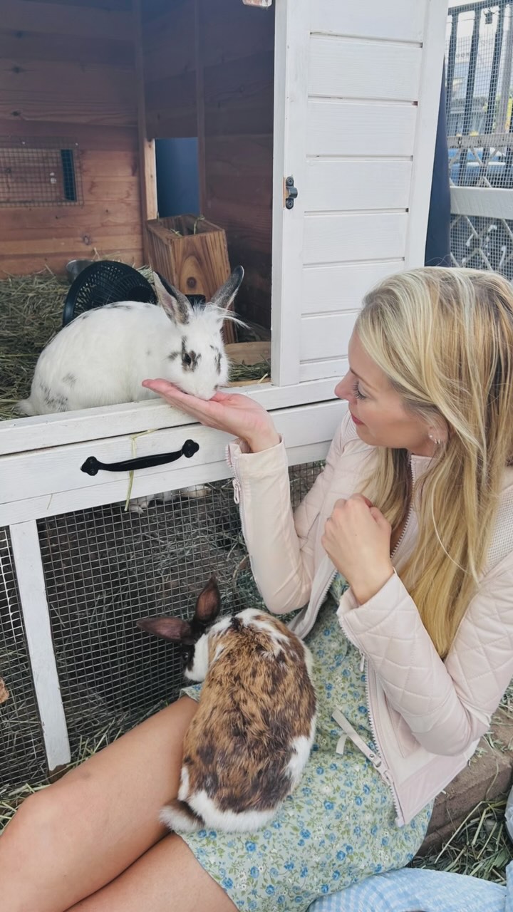 Did you know there’s a bunny cafe in SoCal?? At @grange.garden in Solana Beach, not only can you have a delicious latte, you can spend time with the most adorable bunnies. Even better, the owner is on a mission to help shelter bunnies find forever homes, so by visiting you’re contributing to all the good she’s doing. Our only regret? We didn’t have nearly enough time to spend here on our packed trip. If you’re in the San Diego area, it’s a must visit! Highly recommend making a reservation ahead of time as we did ($15/pp for 20 min). Just be sure to leave time before or after. You’ll absolutely want to linger at this gem of a spot!
.
.
.
.
.
.
#socal #socaltravel #california #travelgram #explore #hittheroad #californiadreaming #sandiego #bunnies #bunnycafe #solanabeach #travelwithkids #bestofsandiego #havefundogood #cafelife