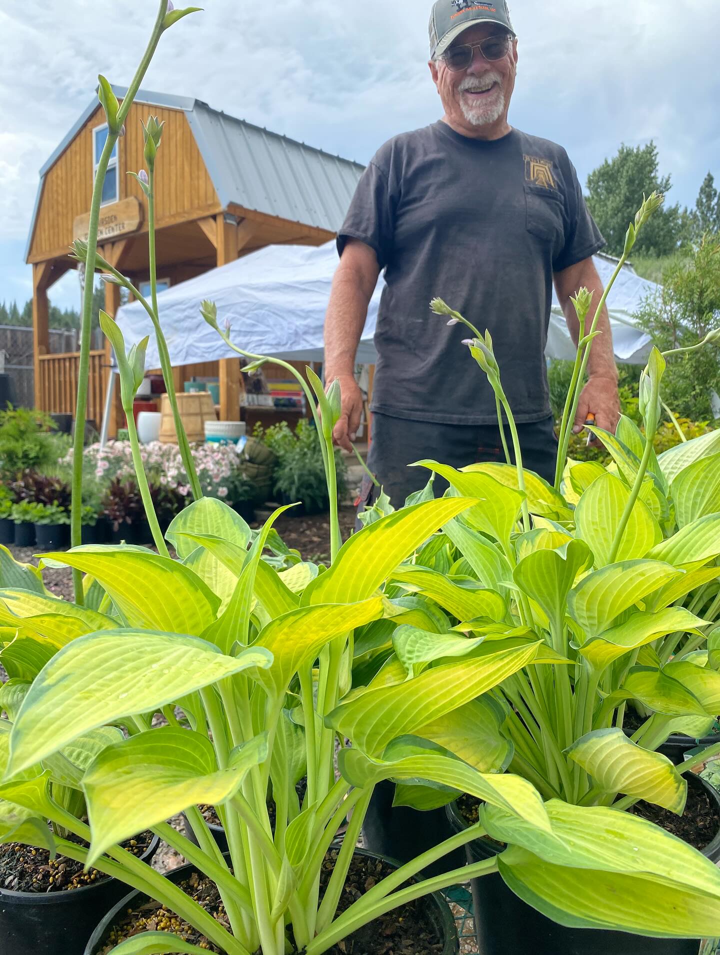 A couple photos from our last delivery, it was a big one! A refresh of our favorite perennials from spirea, coreopsis, delphinium, echinacea, bleeding hearts, Shasta daisies, lavender, Russian sage, barberry, and many more! 🪻🌾🪴🌸🌻
Tree pictures to come…. But the aspen and fruit tree haul has arrived as well!!! 🌳🏡
They will all be available Thursday morning! 🤩