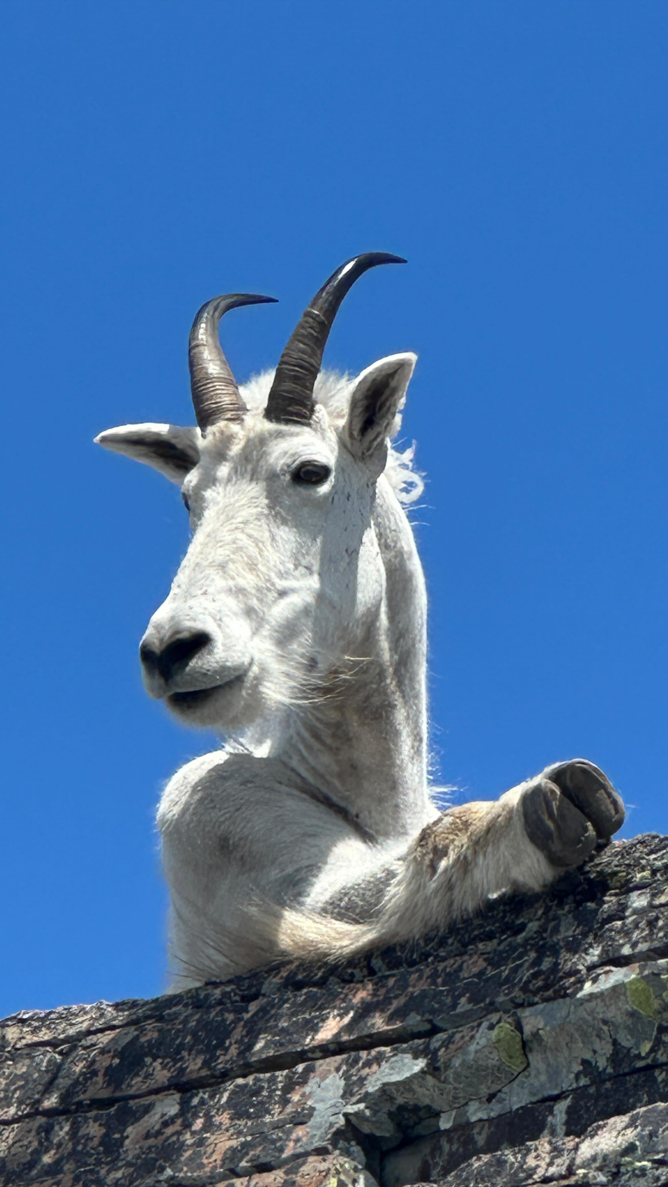 I spent my birthday in the woods—no parties, no service, just myself and my thoughts.
And, hardest hike I’ve ever done…
There were moments I wanted to turn back.
Moments I doubted I’d make it.
But that’s the point.
Growth doesn’t come easy.
Peace isn’t passive.
For years, I thought 36 was the end.
Now I know—it’s just the beginning.
The year I rebuild.
The year I become more me than I’ve ever been.
To trust what’s unfolding.
To stop chasing and start receiving.
To let life meet me, instead of fighting for it.
So here’s to 36—
The year I finally feel like enough ❤️
🫶🏻 Lindsey
#solotravel #solofemaletravel #vanlife #thewanderher #wanderoftenwanderalways #wanderbeyondhealwithin #solovanlife #birthday