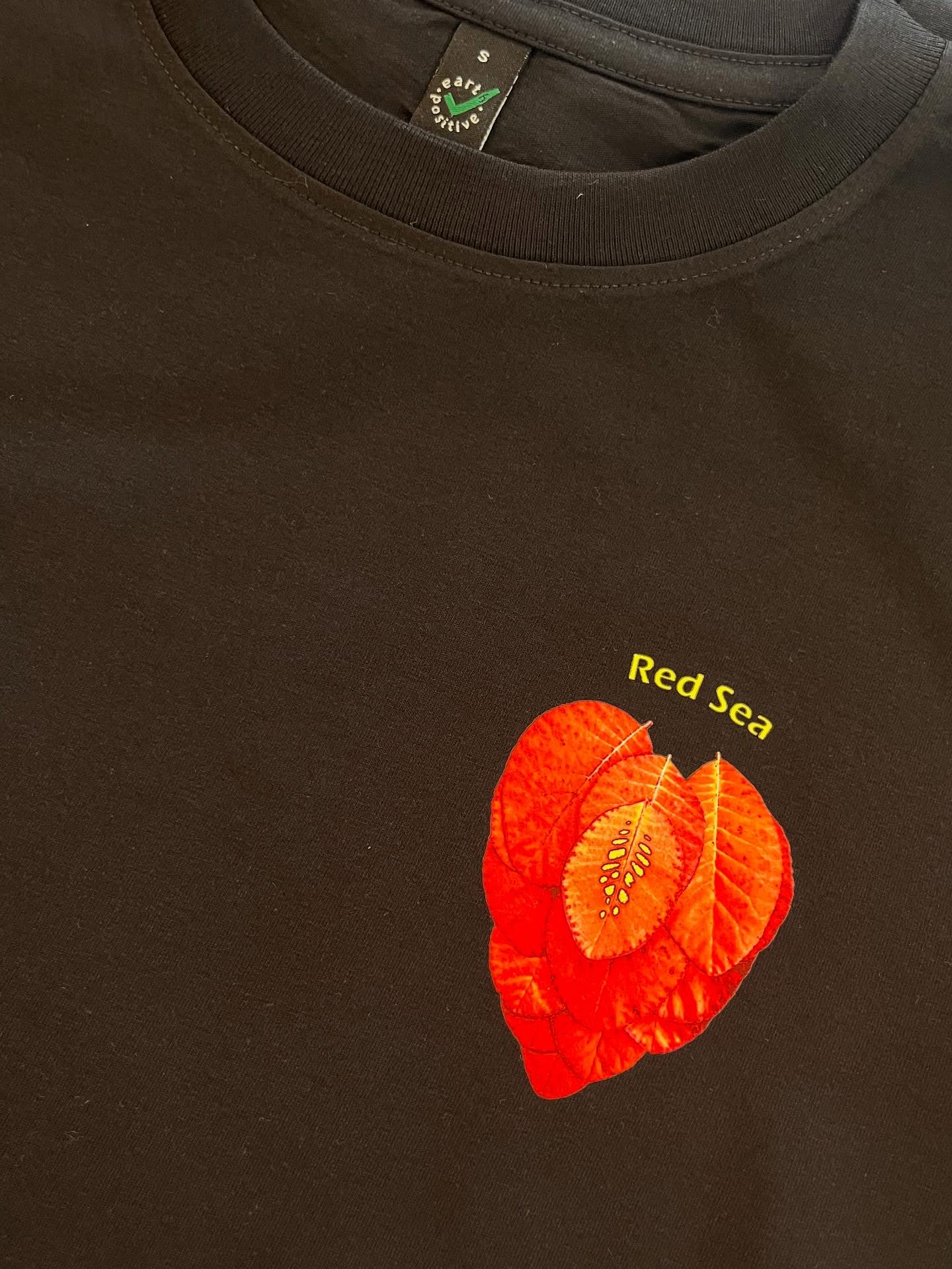 Some lovely merch for Red Sea who will be playing at Snienton Market in Nottingham on the 5th July…. !Thank you for the work…🫶. #DTF #redseajazz1 #redseamusic #jazzscene #nottingham #bandmerch #welovetoprint #supportlocal https://fb.me/e/iV0hiI4pn