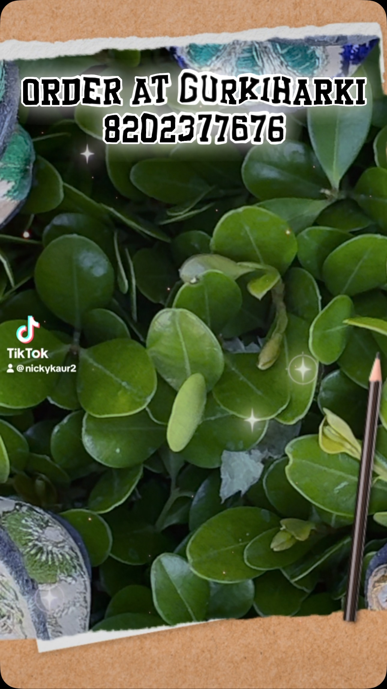 Our little divas collections #dhee #gurkiandharki #nicuwarrior #genuineleather #viralreels #photos