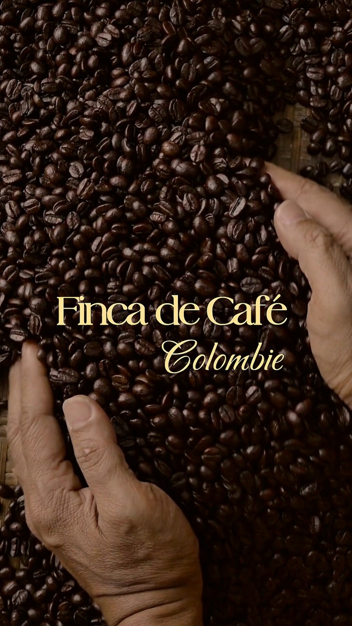 ☕️🇨🇴Si tu aimes le café, tu dois vivre ça au moins une fois dans ta vie.
Une journée dans une finca traditionnelle à Medellín… tu dis oui ? 😋
#voyage #colombie #medellin #cafe #worldevasion #instagram #granodecafe #reelsviral