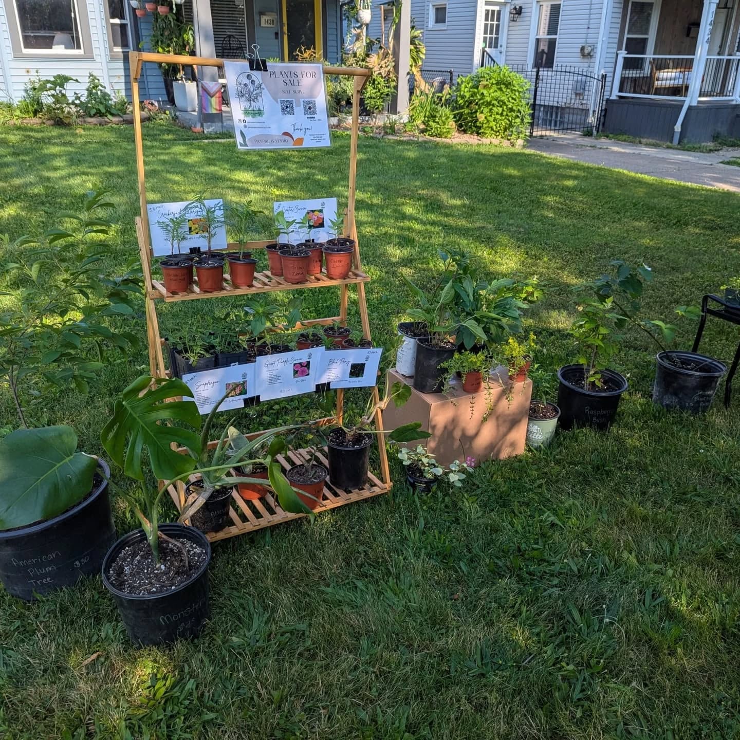 The plant stand is out and overflowing! Annual flowers herbs, perennials, natives, and house plants. Priced as marked. PayPal, Venmo or old school cash in the mailbox.
Self serve! Open till dusk.
1438 Newman Ave - LAKEWOOD
Message me if you have any questions, have a great Tuesday!
#druidgreenhouse #plantsforsale #plantstand #smallbusiness #smallbuisnesslakewood #plants #lakewoodohio