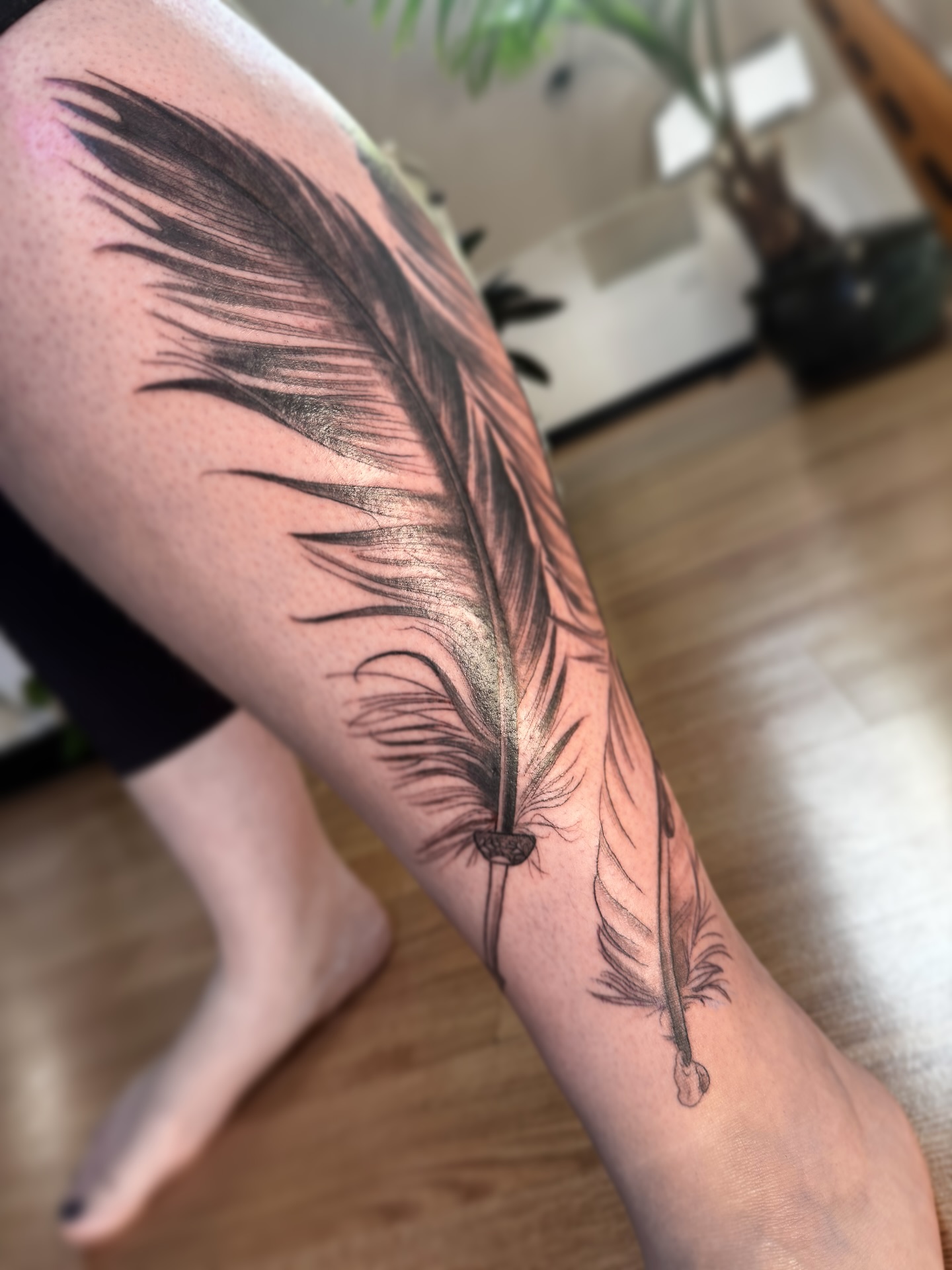 Feathers are so incredibly magic. Such a powerful symbol & graceful instrument.
Seeing each tiny micro feather upon each feather itself is a wild wonder. The softness. The strength. The whisp.
Our day was precious. This woman is so trusting and clear in her medicine and expression.
We let body show us what & how and though we will add more details later, we are both very happy with the bouquet of freedom & her softness 🪶
Thank you dear. Celebrating huge milestones and walking your wisdom!
#feathers #feathery #feathertattoo #blackandgreytattoo #softtattoo #whisp #freestyle #quills #frills #tears