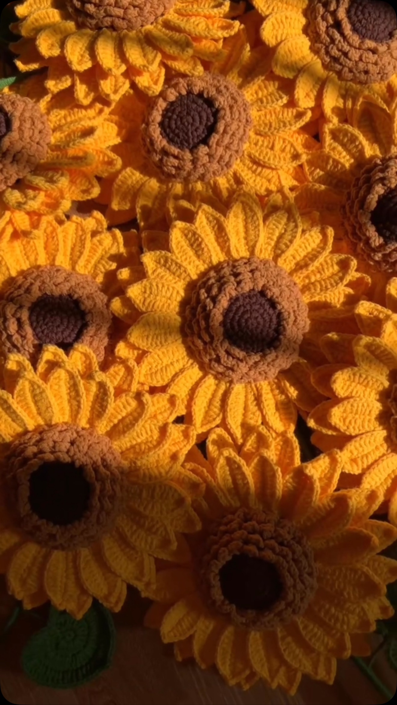 Sunflowers turn towards the sun.
#giftideas #crochet #sydney #lover #present #birthday #flowers #love #annaversary #love #women