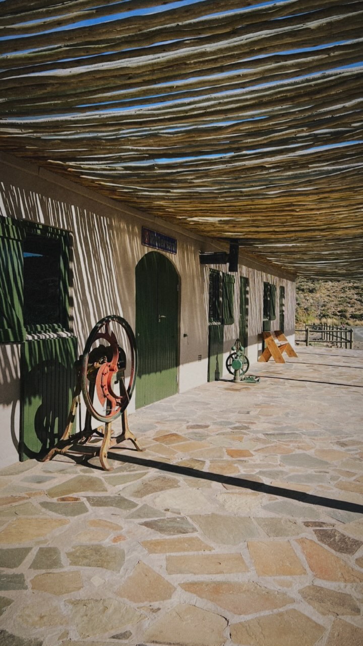 At Rogge Cloof, history runs deep, etched into the land and still unfolding with care.
The farm’s roots stretch all the way back to 1756, when Joachim Scholtz, the son of German and Nordic immigrants, first made this rugged patch of Karoo his home. Over centuries, it’s weathered lions, droughts, snowstorms, and scorching winds, but it’s always been held with a sense of reverence by those lucky enough to call it theirs.
Since 1990, the Gerntholtz family has been the custodians of Rogge Cloof, lovingly continuing its legacy. They remain in touch with the Snyman family who farmed here before them, honouring the connections that shaped the land. A copy of the original deed still hangs in our reception, a quiet reminder of the generations who’ve walked here before us.
This isn’t just a farm. It’s a place with stories in its soil, a quiet kind of beauty, and a deep respect for where it’s come from and where it’s going.
Tap the link in our bio to experience the magic of Rogge Cloof.
#luxuryecotravel #darkskyreserve #travelsouthafrica #karoo #karoolife #karooaccommodation #hikingadventures #hikingsouthafrica #cheetahconservation #cheetah #sustainabletravel #stargazing #astrophotography #sutherland #astronomylover #wideopenspaces #natureescape #nightphotography #nightsky #astronomy #thisissouthafrica