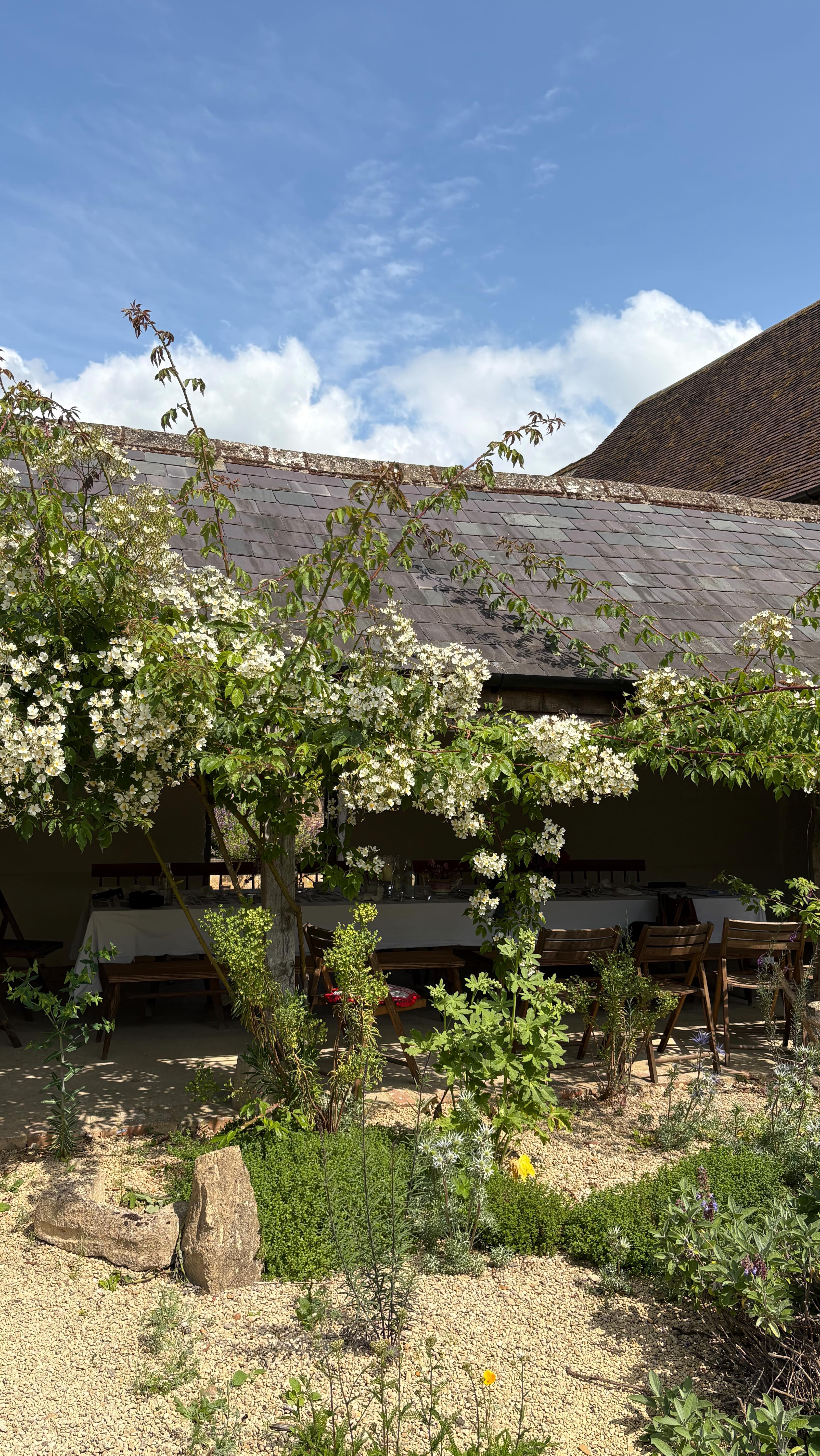 What a fabulous day yesterday at @ham_court_bampton with @matthewricewatercolours
Thank you @reels.rockstars and all the talented and inspirational business founders I met - you made it such fun. Really good to learn a few new skills, network, eat a delicious lunch I hadn’t made myself, and come home with a list of what to binge watch next.
I now have a big case of garden envy…